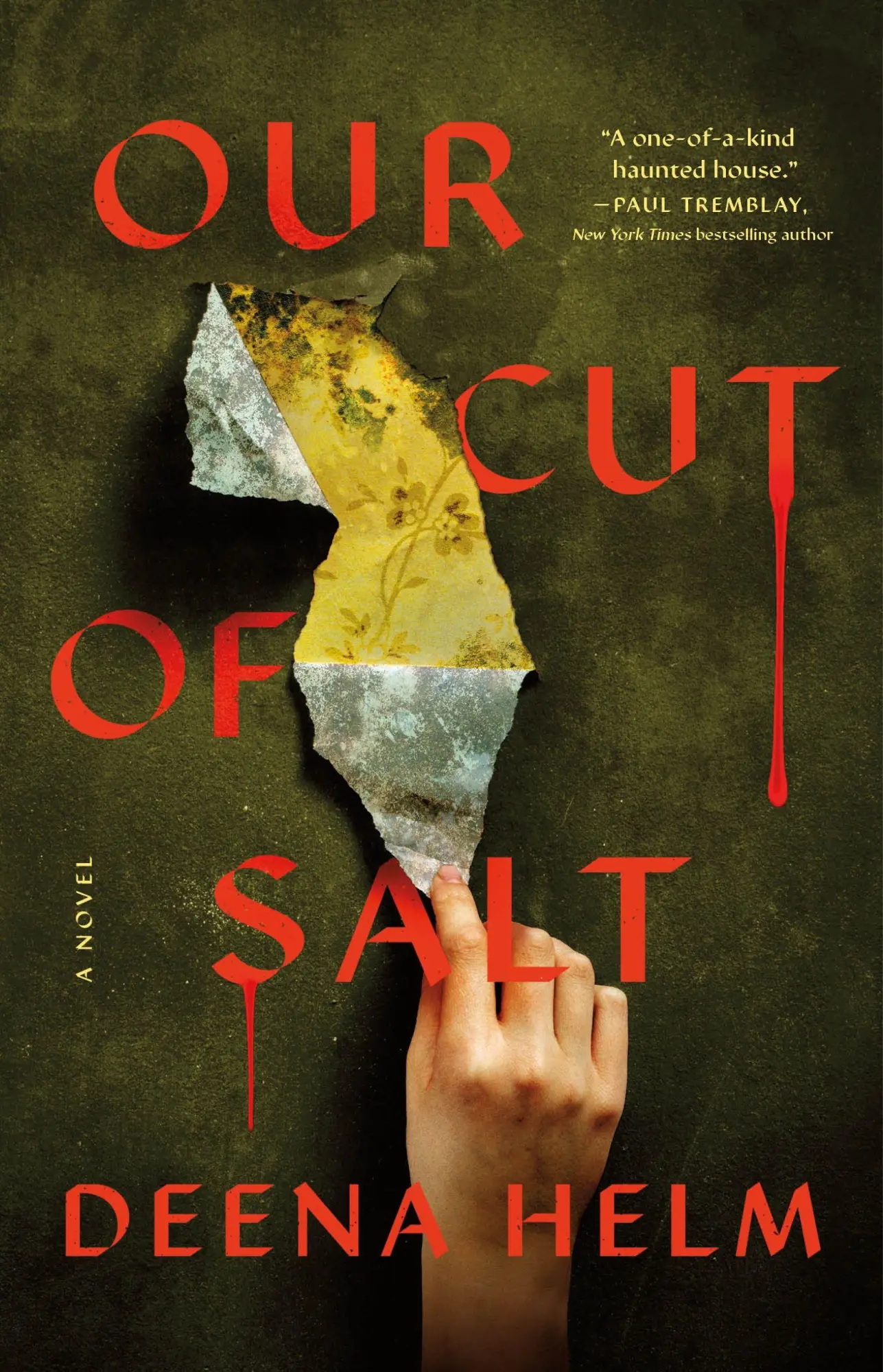 Cover: 9781250480415 | Our Cut of Salt | A Novel | Deena Helm | Taschenbuch | Englisch | 2026