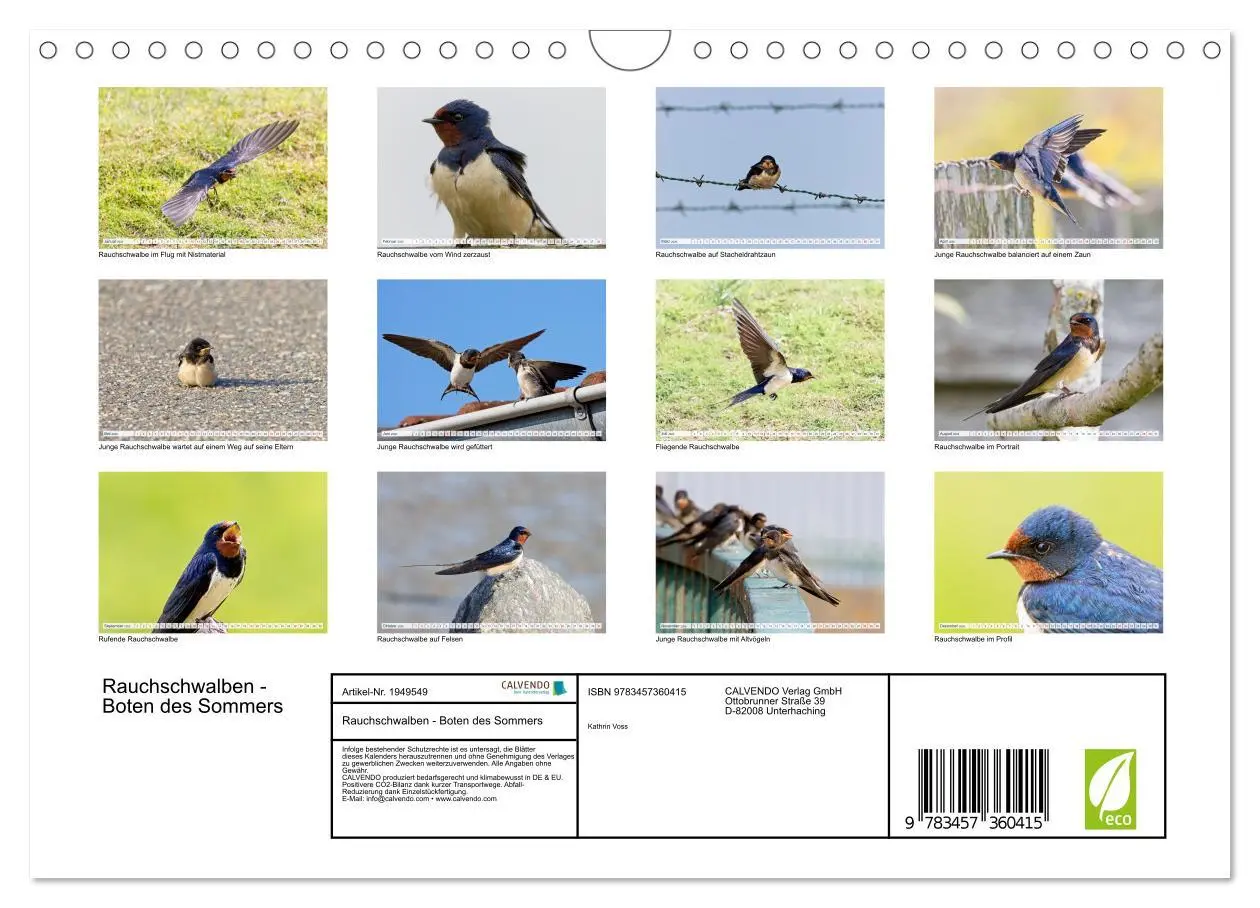 Bild: 9783457360415 | Rauchschwalben - Boten des Sommers (Wandkalender 2026 DIN A4 quer),...