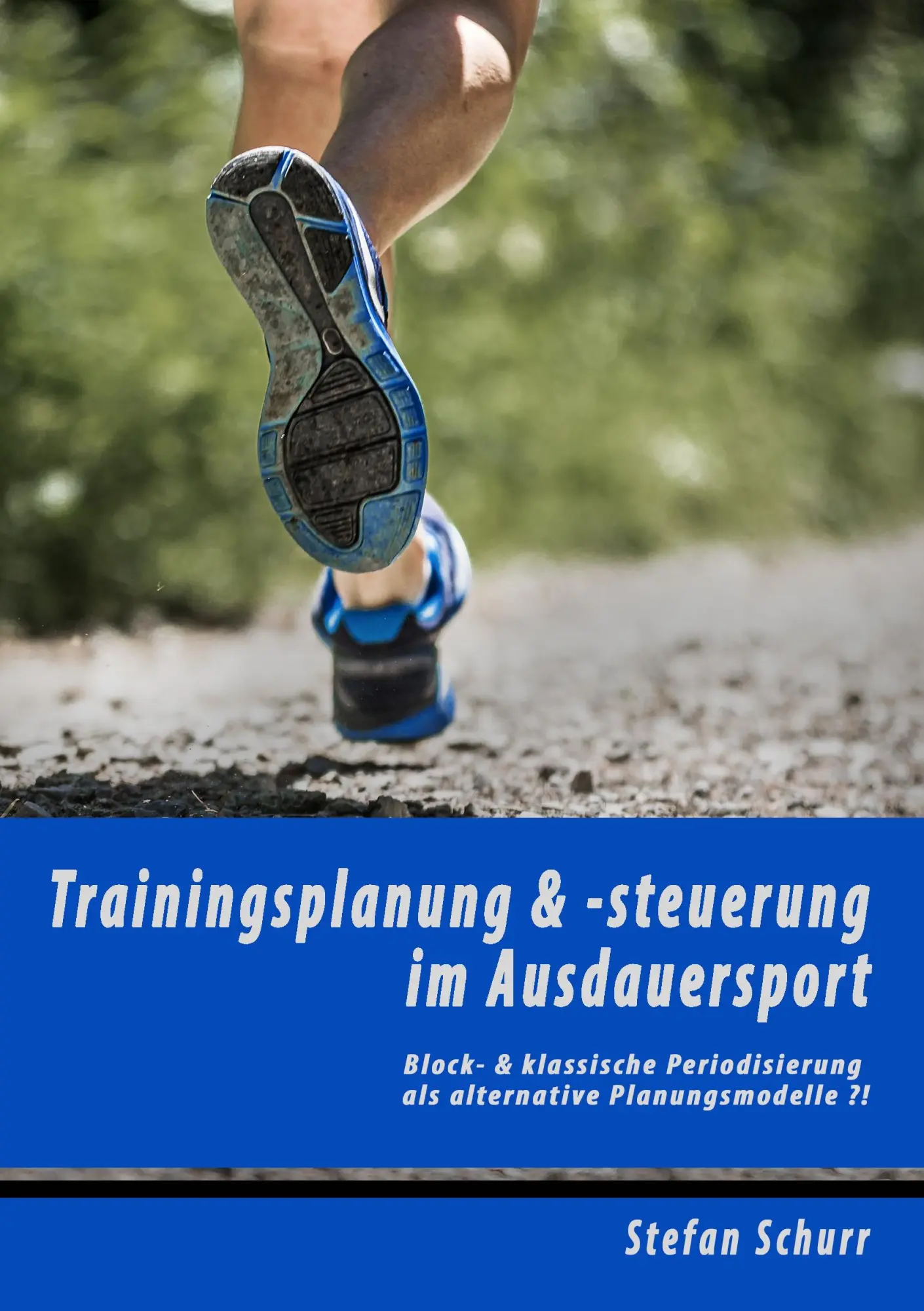 Cover: 9783735790415 | Trainingsplanung &amp; -steuerung im Ausdauersport | Stefan Schurr | Buch