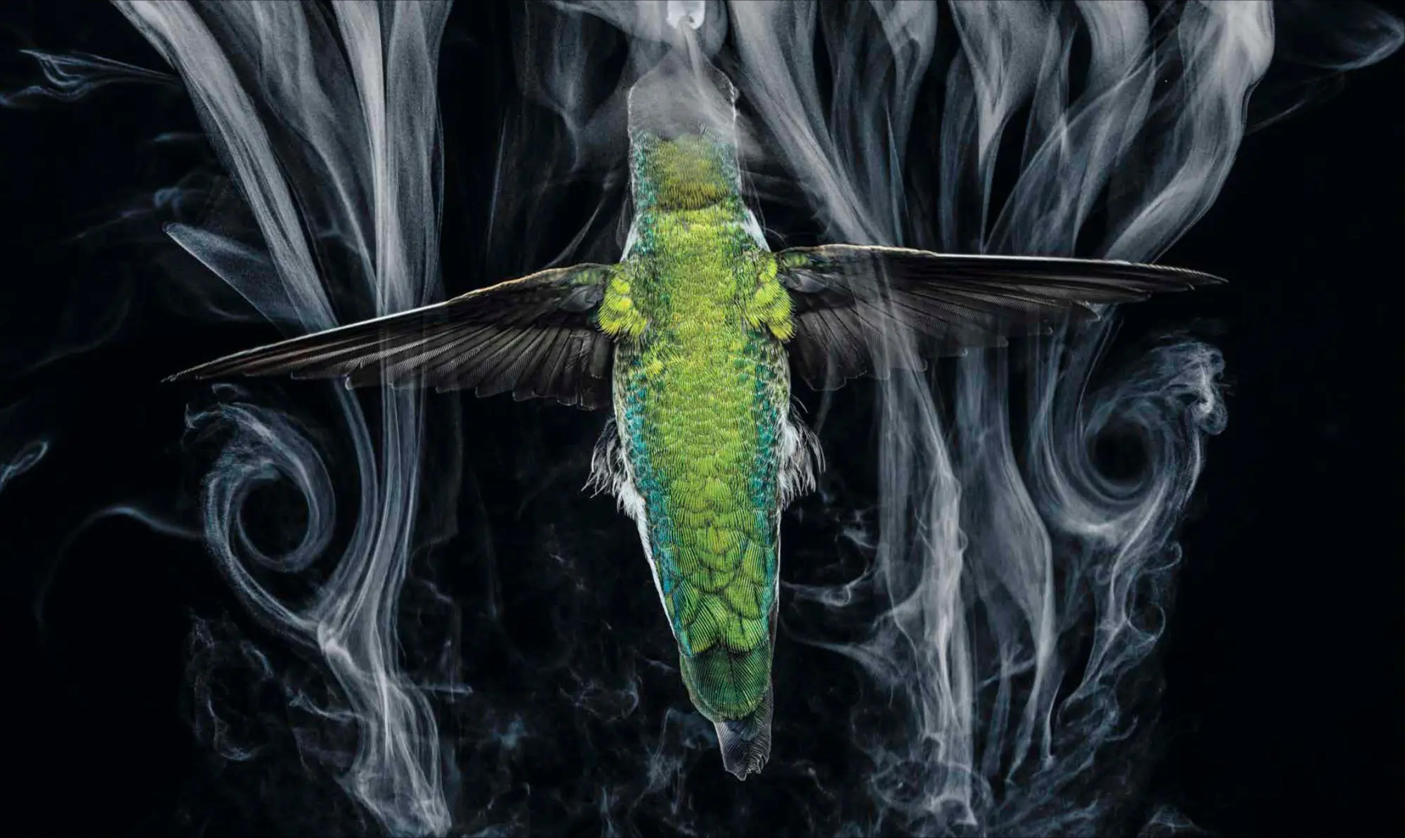 Bild: 9783987010415 | National Geographic Verborgene Welten - Einzigartige Fotografien