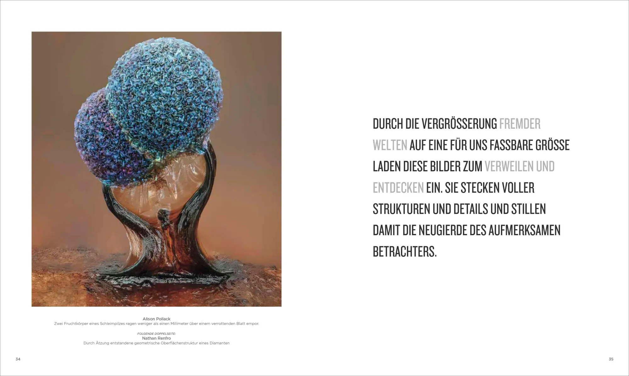 Bild: 9783987010415 | National Geographic Verborgene Welten - Einzigartige Fotografien