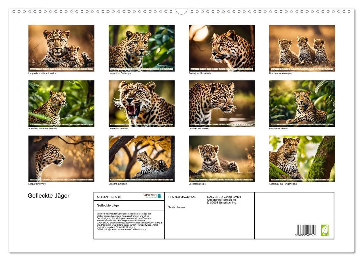 Bild: 9783457420515 | Gefleckte Jäger (Wandkalender 2026 DIN A2 quer), CALVENDO...