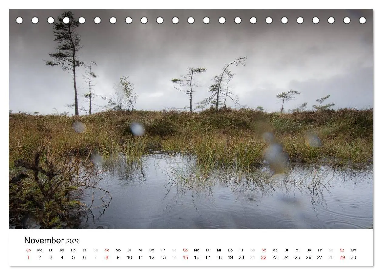Bild: 9783457970515 | Naturerlebnis im Biosphärenreservat Rhön (Tischkalender 2026 DIN A5...