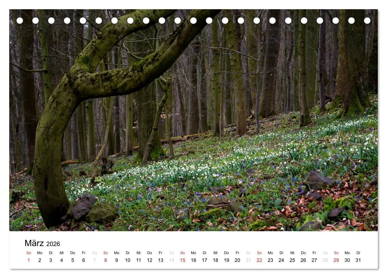 Bild: 9783457970515 | Naturerlebnis im Biosphärenreservat Rhön (Tischkalender 2026 DIN A5...