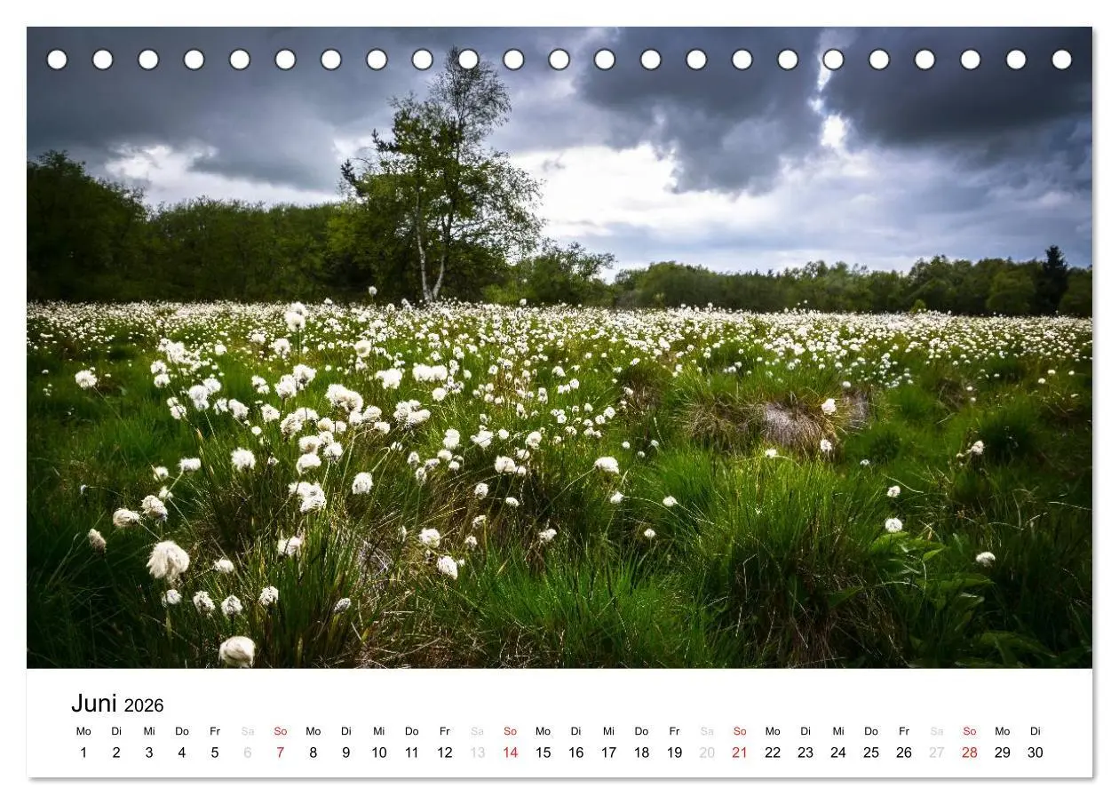 Bild: 9783457970515 | Naturerlebnis im Biosphärenreservat Rhön (Tischkalender 2026 DIN A5...