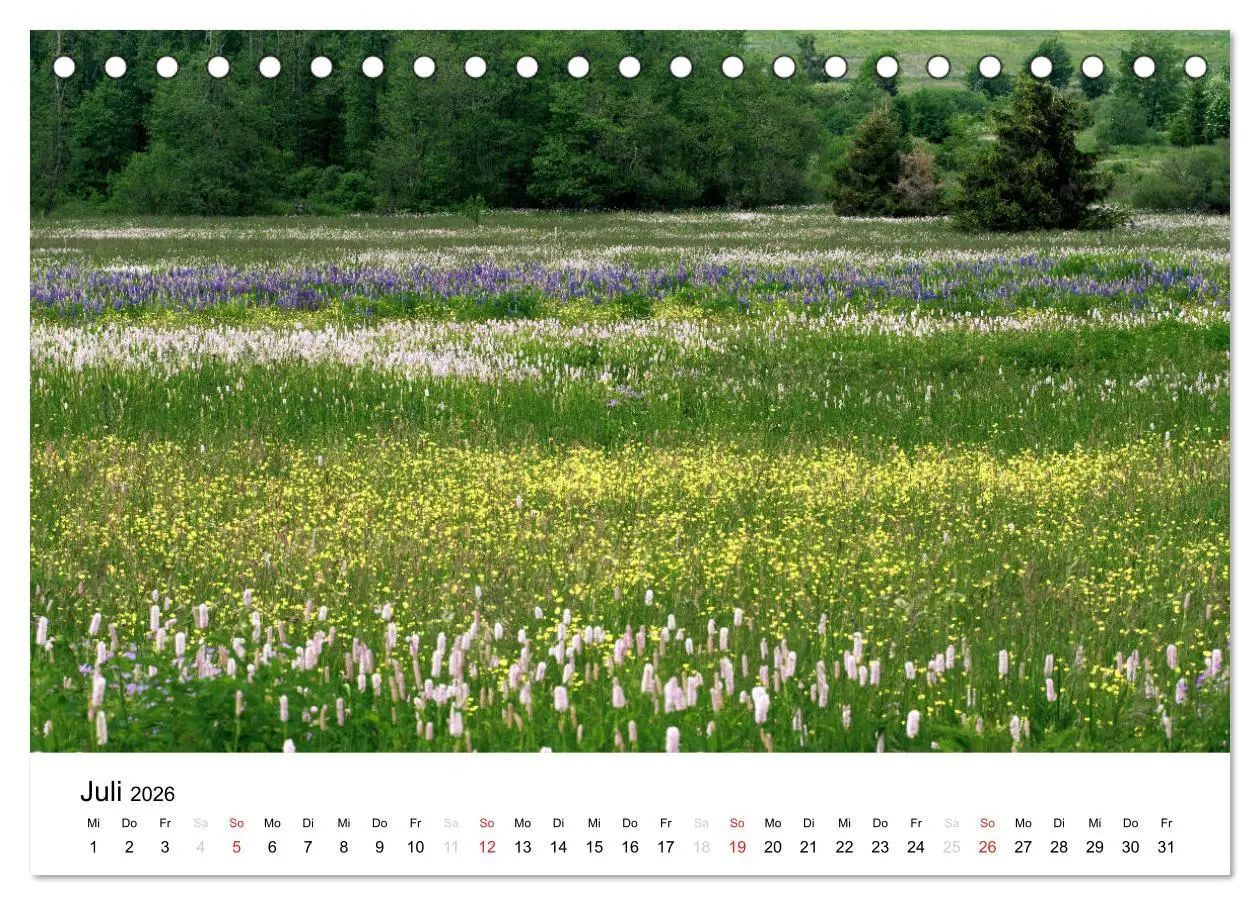 Bild: 9783457970515 | Naturerlebnis im Biosphärenreservat Rhön (Tischkalender 2026 DIN A5...