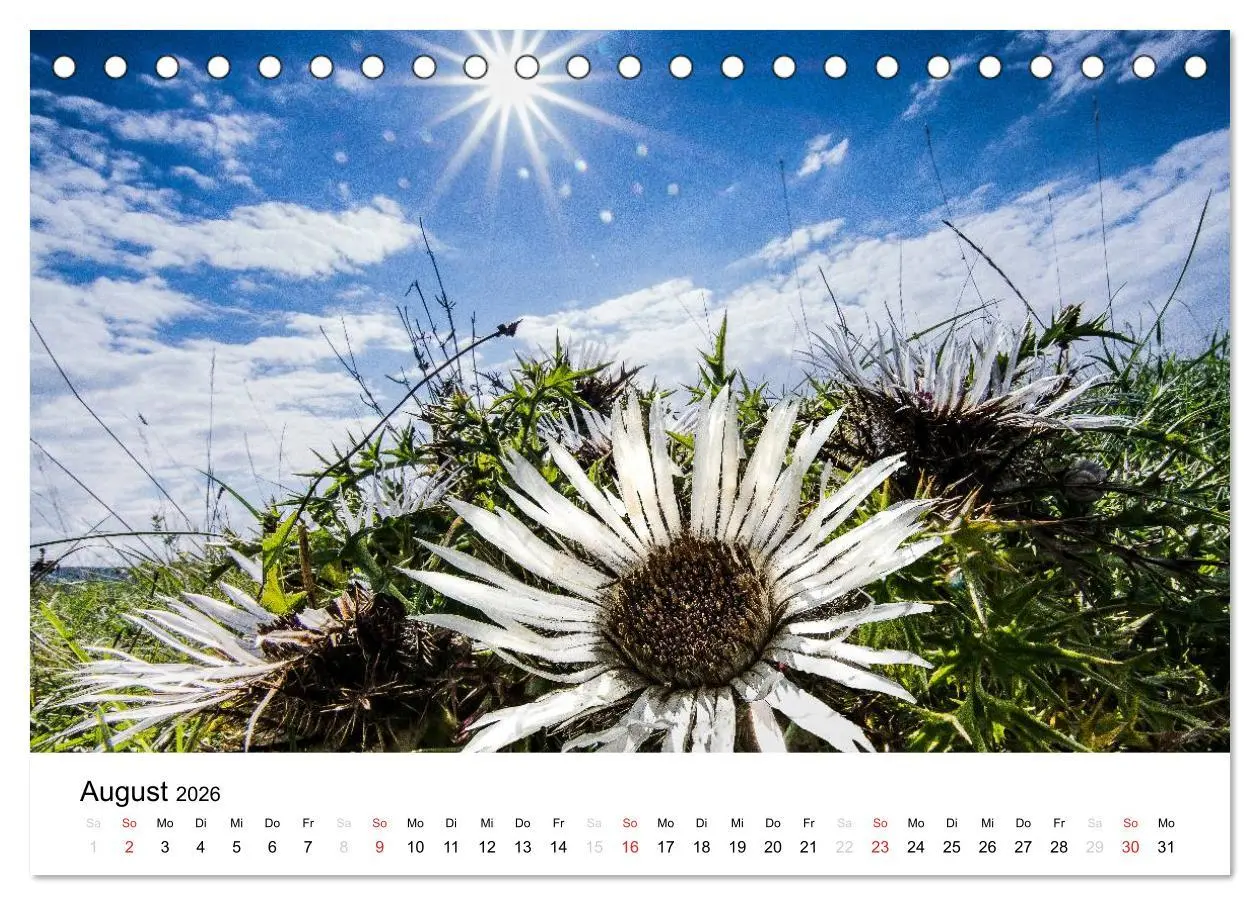 Bild: 9783457970515 | Naturerlebnis im Biosphärenreservat Rhön (Tischkalender 2026 DIN A5...