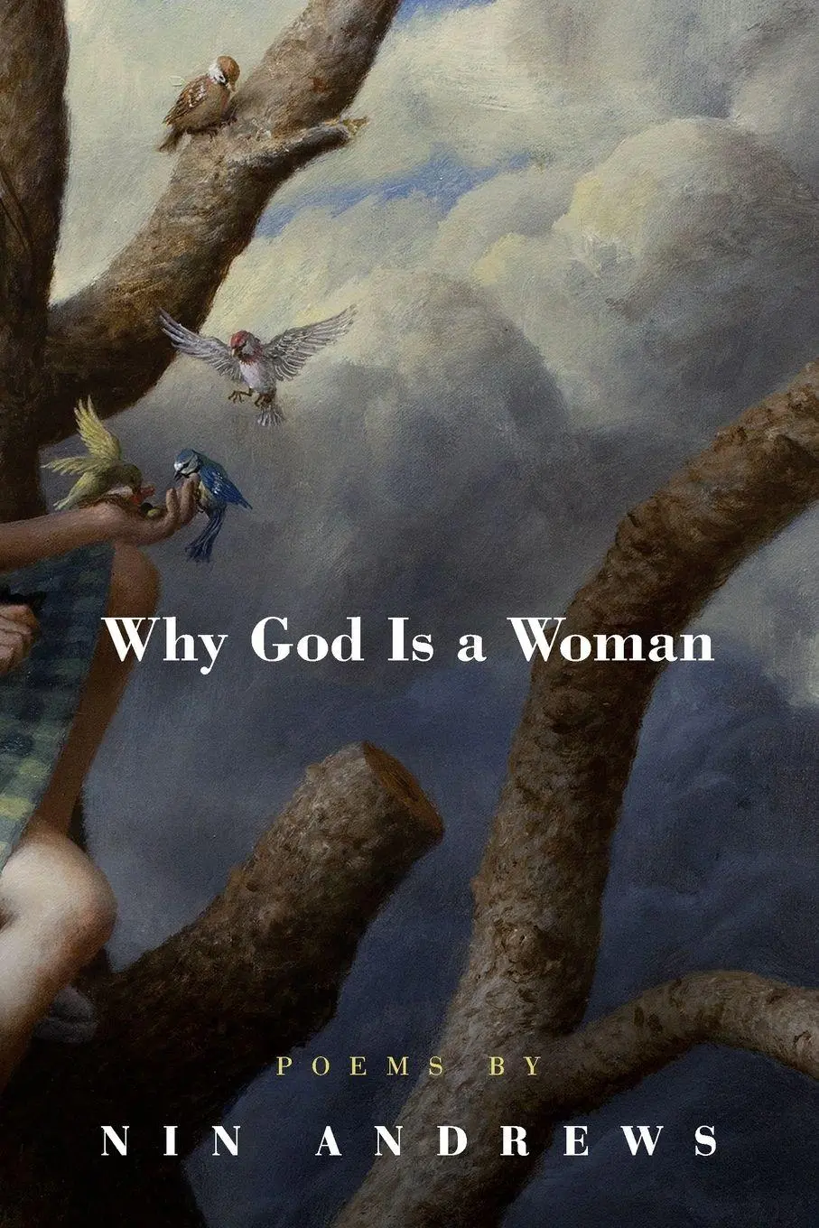 Cover: 9781938160615 | Why God Is a Woman | Nin Andrews | Taschenbuch | Englisch | 2015