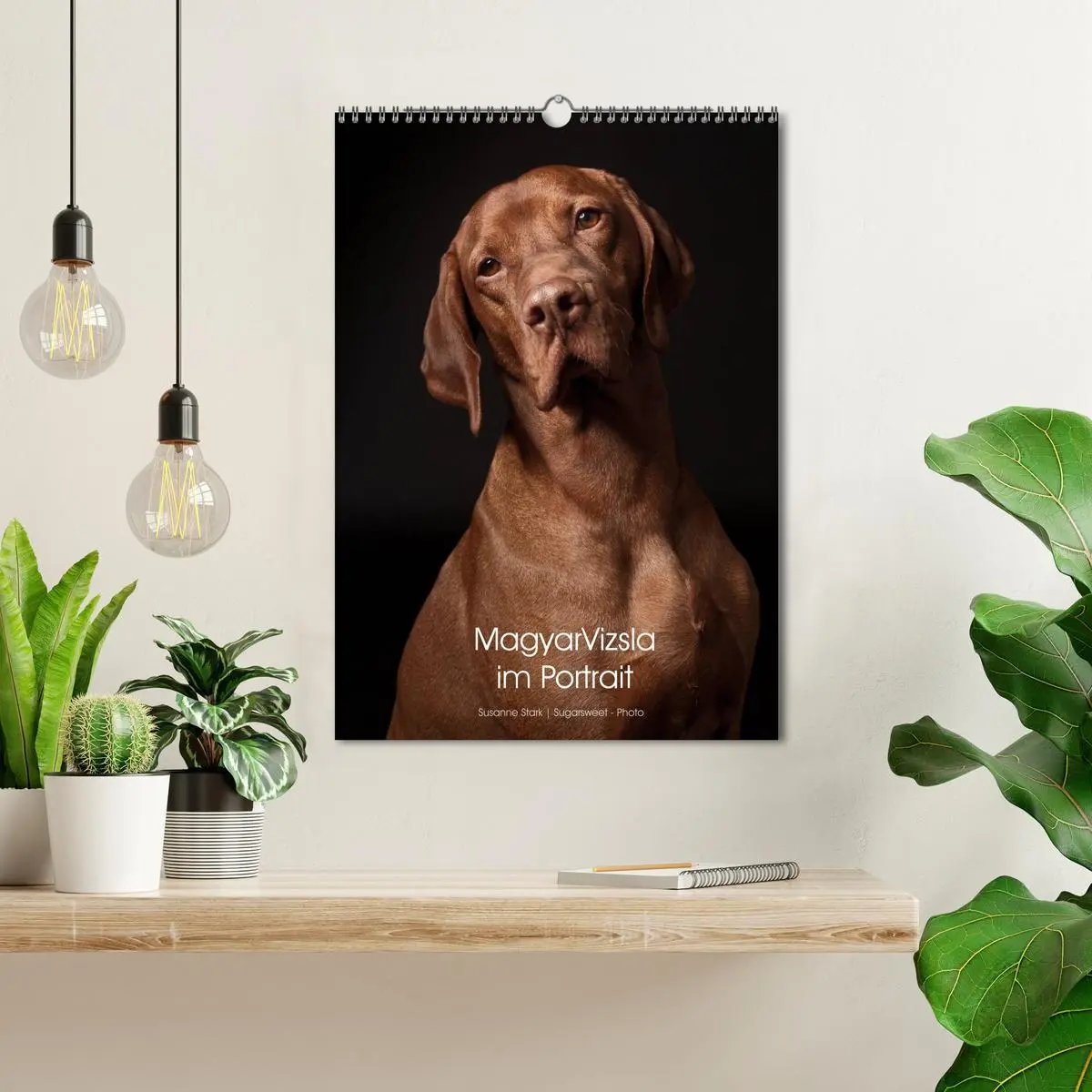 Bild: 9783516430615 | Magyar Vizsla im Portrait (Wandkalender 2026 DIN A3 hoch), CALVENDO...