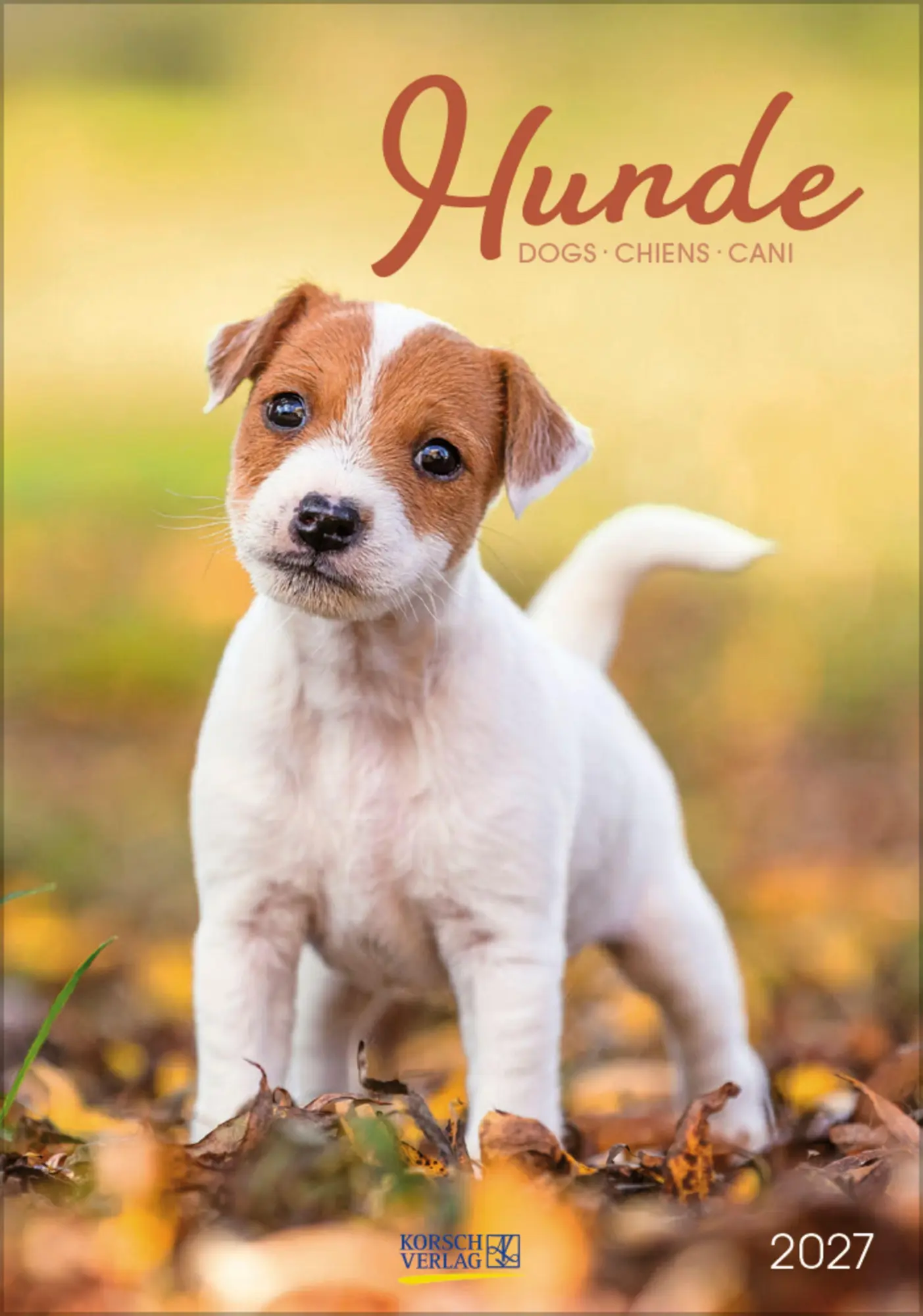 Cover: 9783819300615 | Hunde 2027 | Wandkalender mit Fotos von Hunden. Format 23,5 x 33,5 cm.