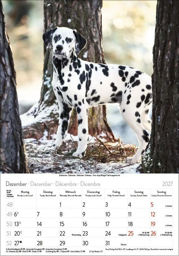 Bild: 9783819300615 | Hunde 2027 | Wandkalender mit Fotos von Hunden. Format 23,5 x 33,5 cm.