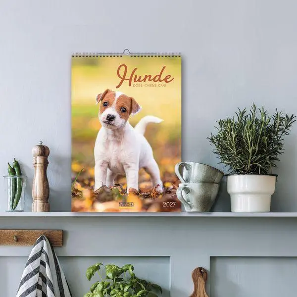 Bild: 9783819300615 | Hunde 2027 | Wandkalender mit Fotos von Hunden. Format 23,5 x 33,5 cm.