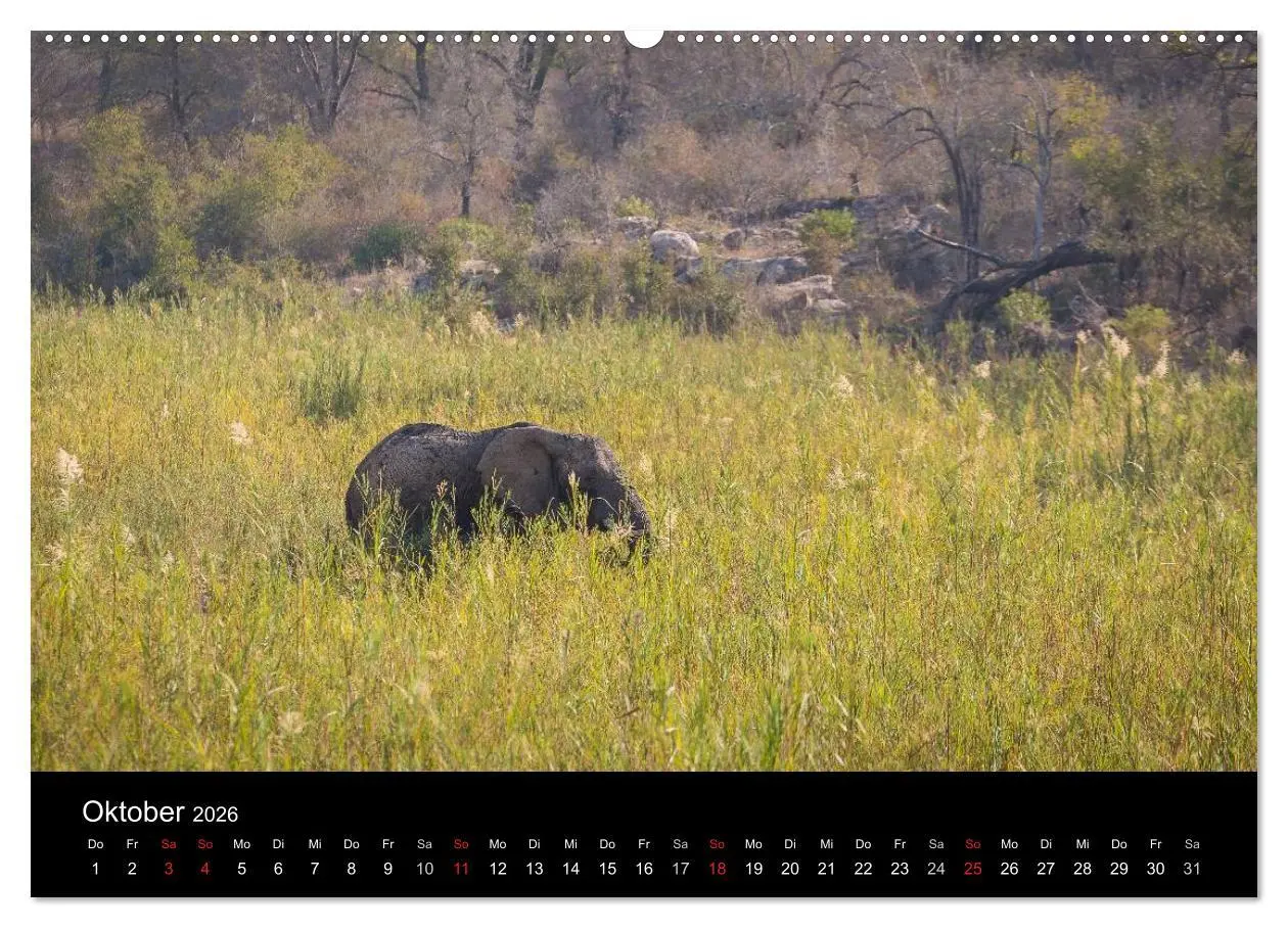 Bild: 9783516030815 | Wunderschönes Südafrika (Wandkalender 2026 DIN A2 quer), CALVENDO...