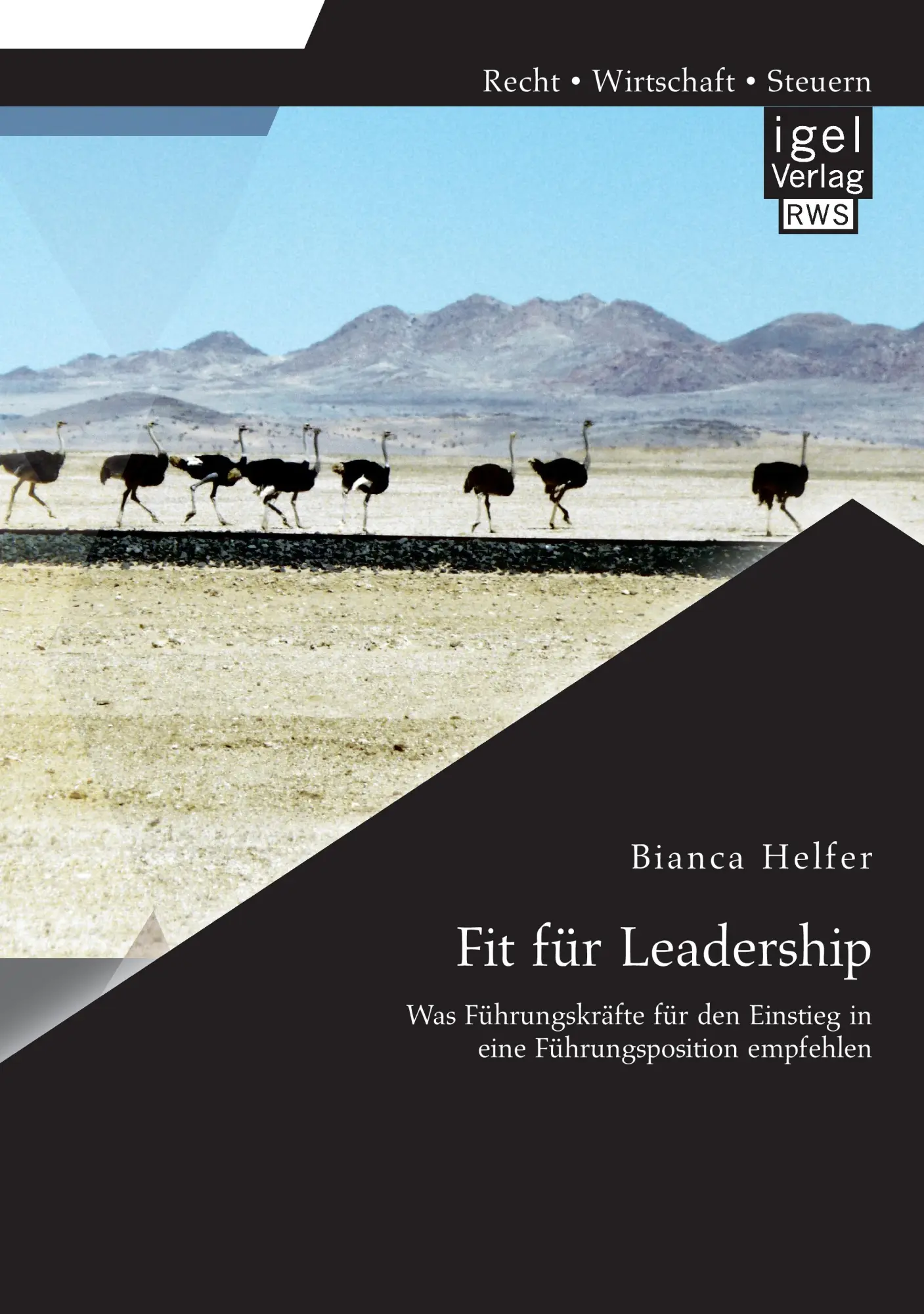 Cover: 9783954850815 | Fit für Leadership: Was Führungskräfte für den Einstieg in eine...