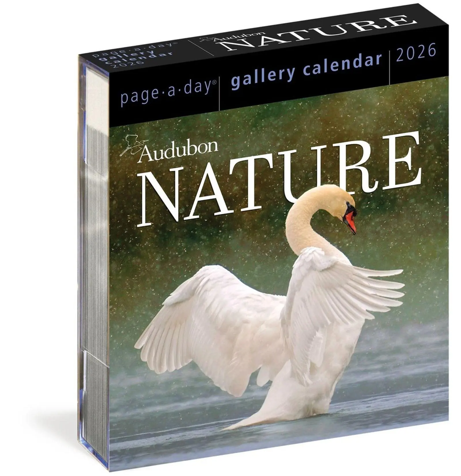 Cover: 9781523530915 | Audubon Nature Page-A-Day(r) Gallery Calendar 2026 | Workman Calendars
