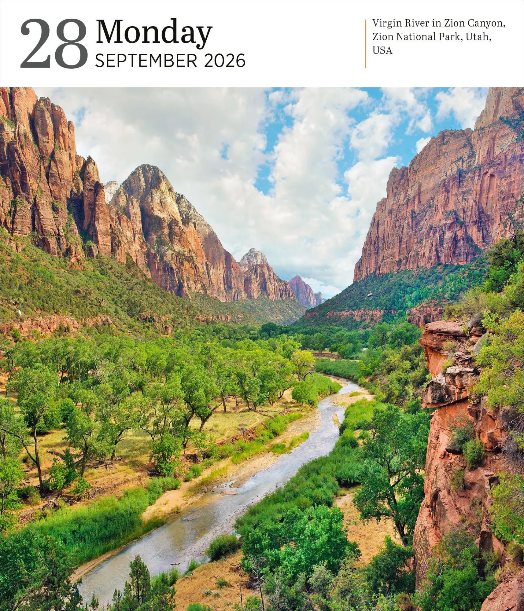 Bild: 9781523530915 | Audubon Nature Page-A-Day(r) Gallery Calendar 2026 | Workman Calendars