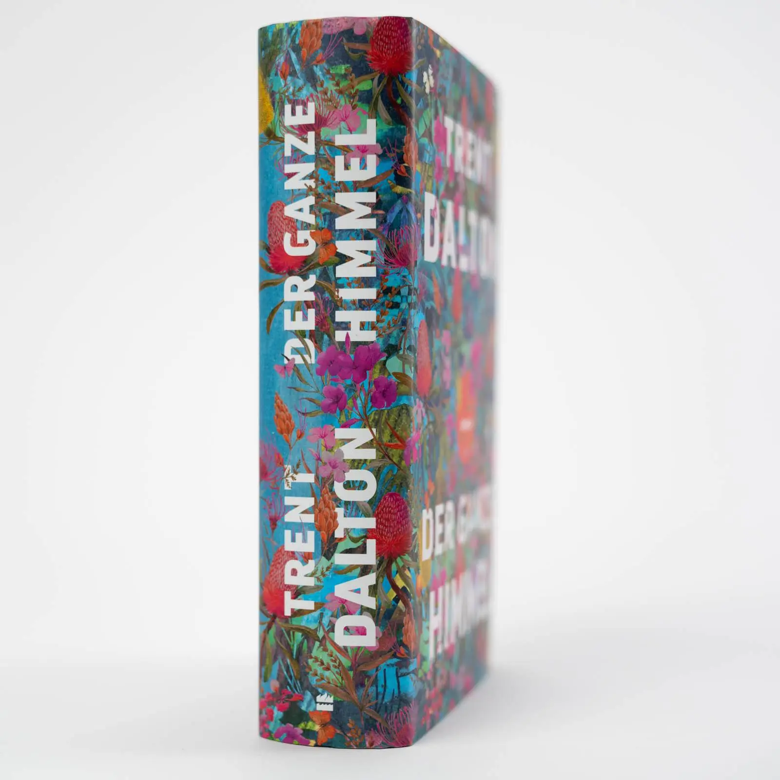 Bild: 9783365000915 | Der ganze Himmel | Trent Dalton | Buch | 512 S. | Deutsch | 2022