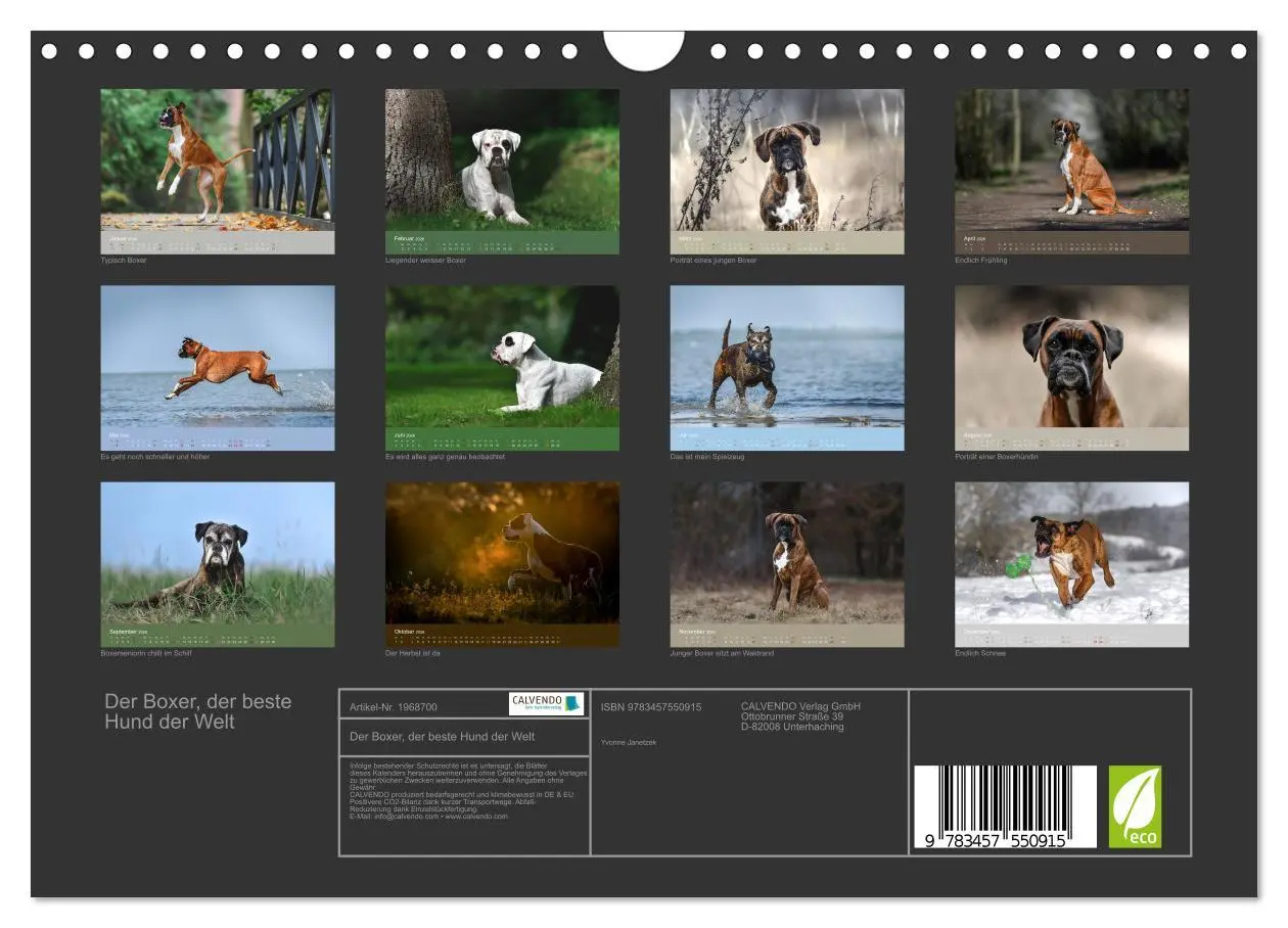 Bild: 9783457550915 | Der Boxer, der beste Hund der Welt (Wandkalender 2026 DIN A4 quer),...
