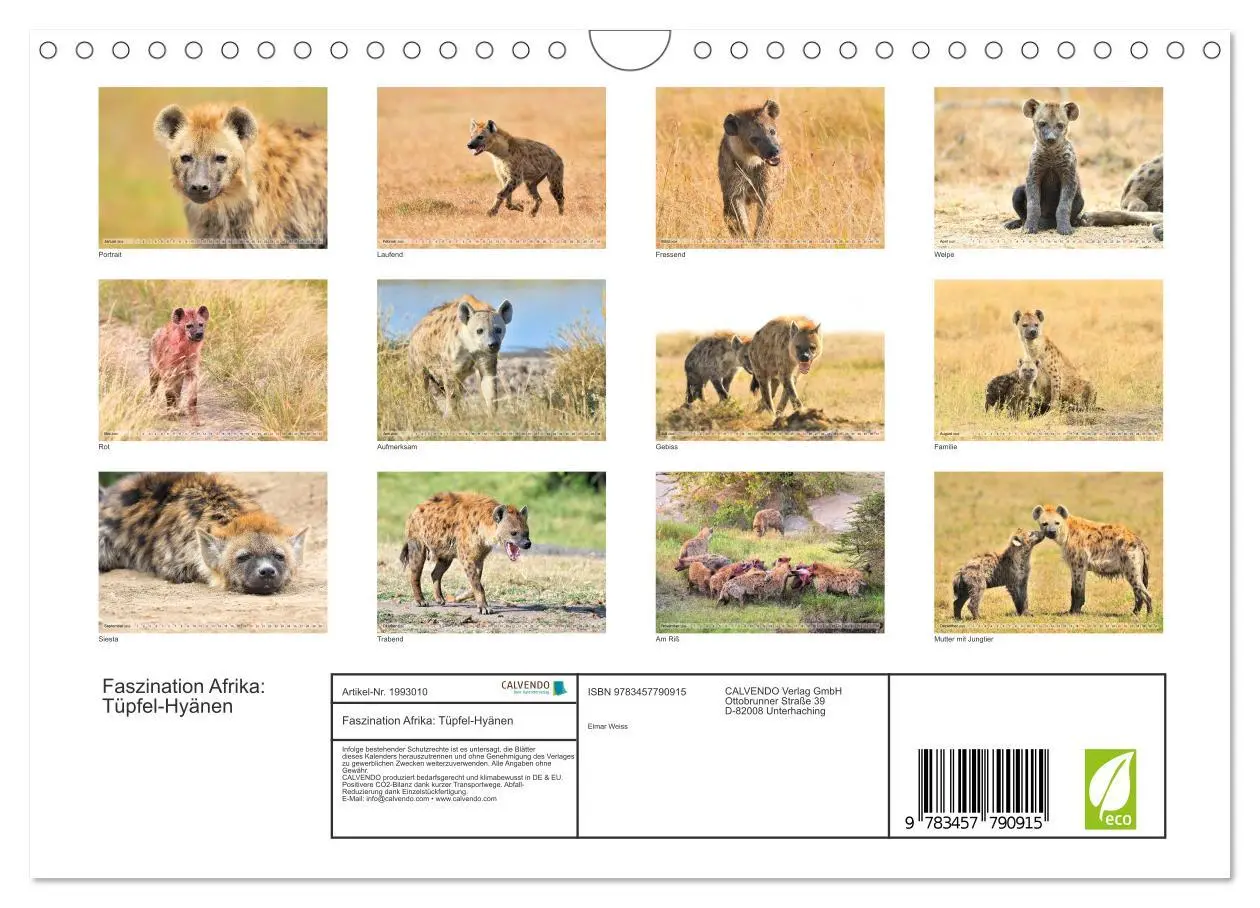 Bild: 9783457790915 | Faszination Afrika: Tüpfel-Hyänen (Wandkalender 2026 DIN A4 quer),...