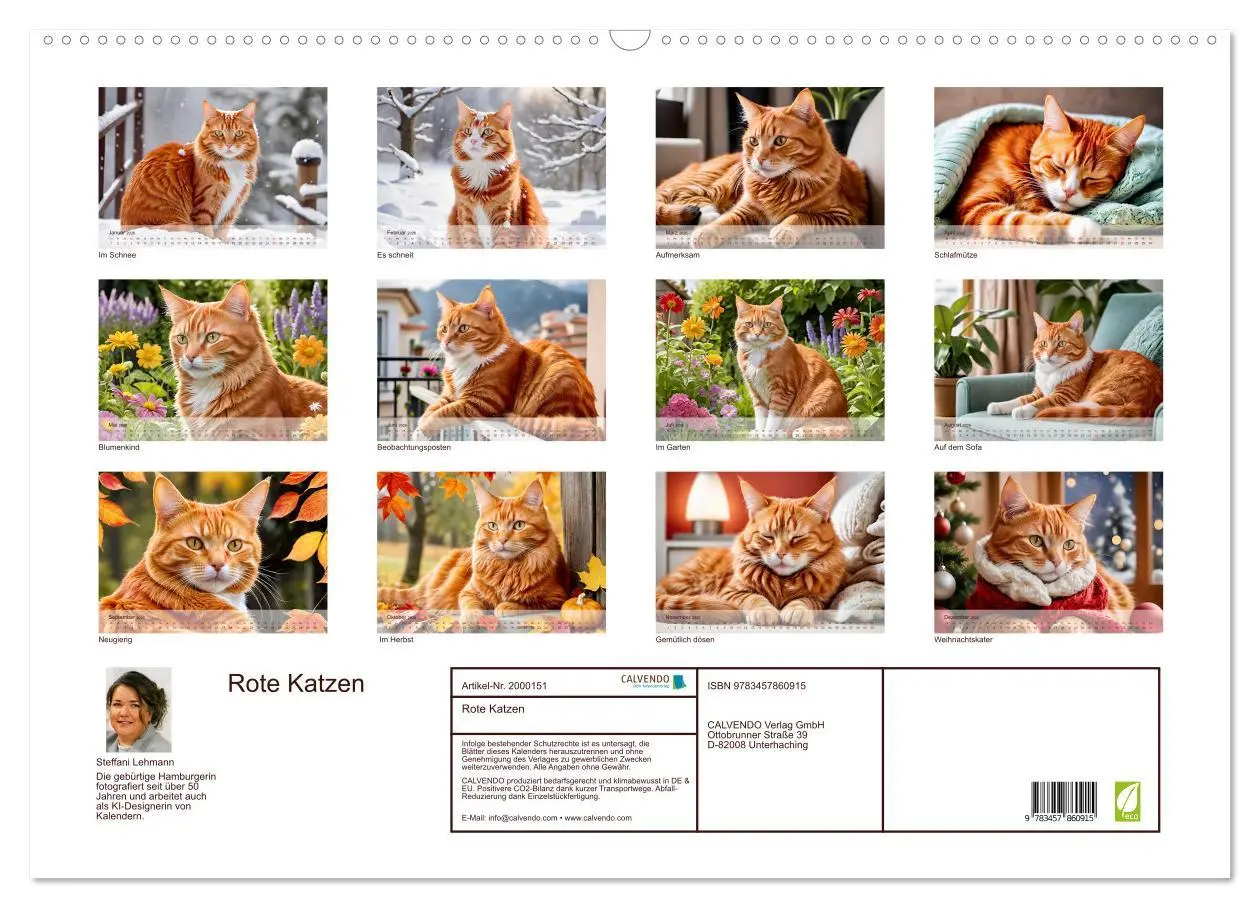 Bild: 9783457860915 | Rote Katzen (Wandkalender 2026 DIN A2 quer), CALVENDO Monatskalender