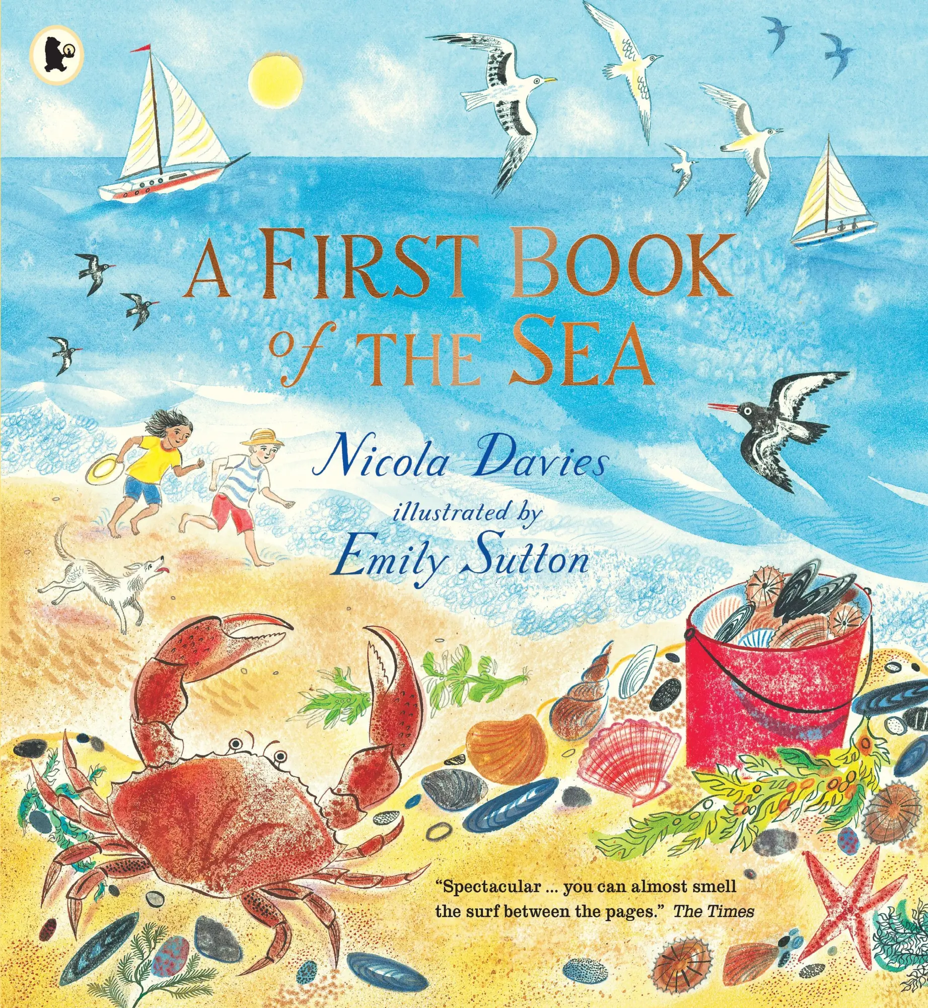 Cover: 9781406391015 | A First Book of the Sea | Nicola Davies | Taschenbuch | Englisch