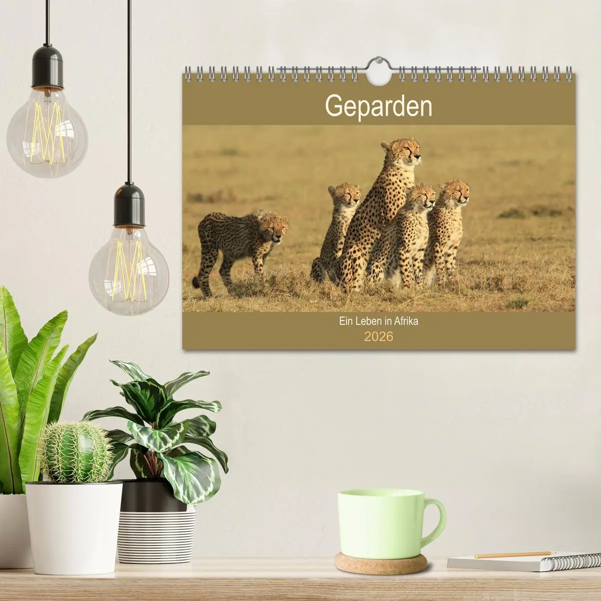 Bild: 9783457991015 | Geparden - Ein Leben in Afrika (Wandkalender 2026 DIN A4 quer),...