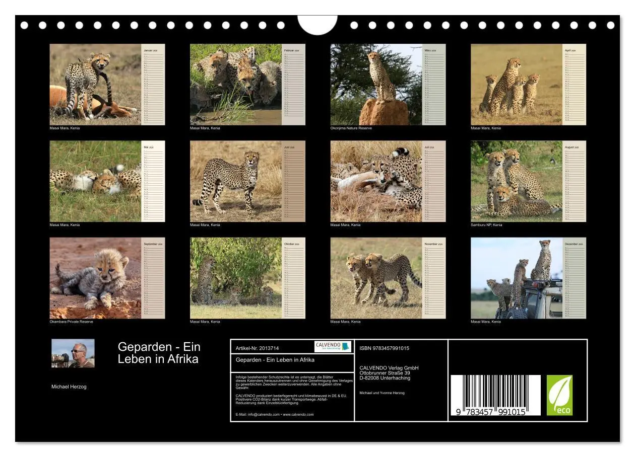 Bild: 9783457991015 | Geparden - Ein Leben in Afrika (Wandkalender 2026 DIN A4 quer),...