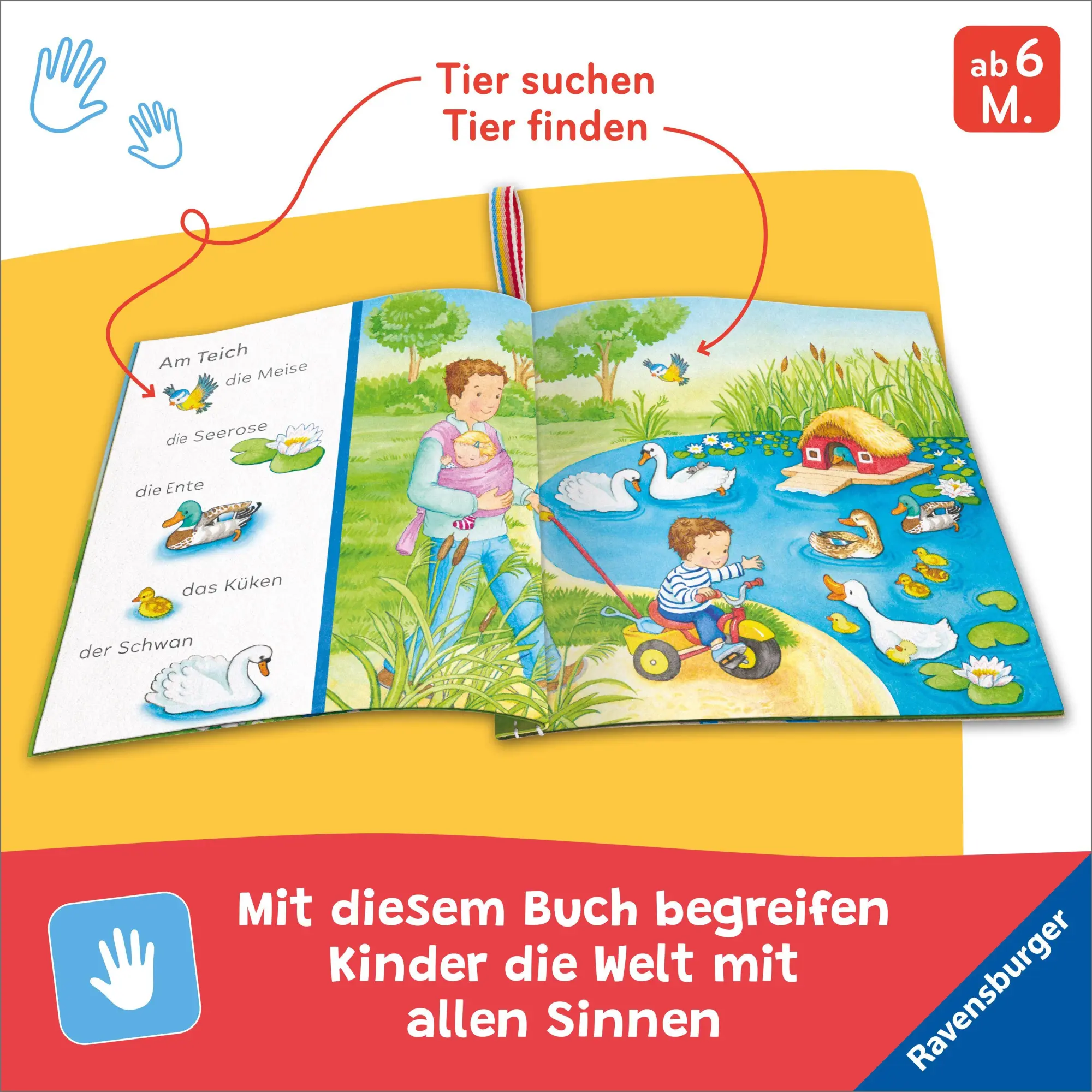 Bild: 9783473421015 | Mein Knuddel-Knautsch-Buch - Sachen suchen. Meine Lieblingstiere