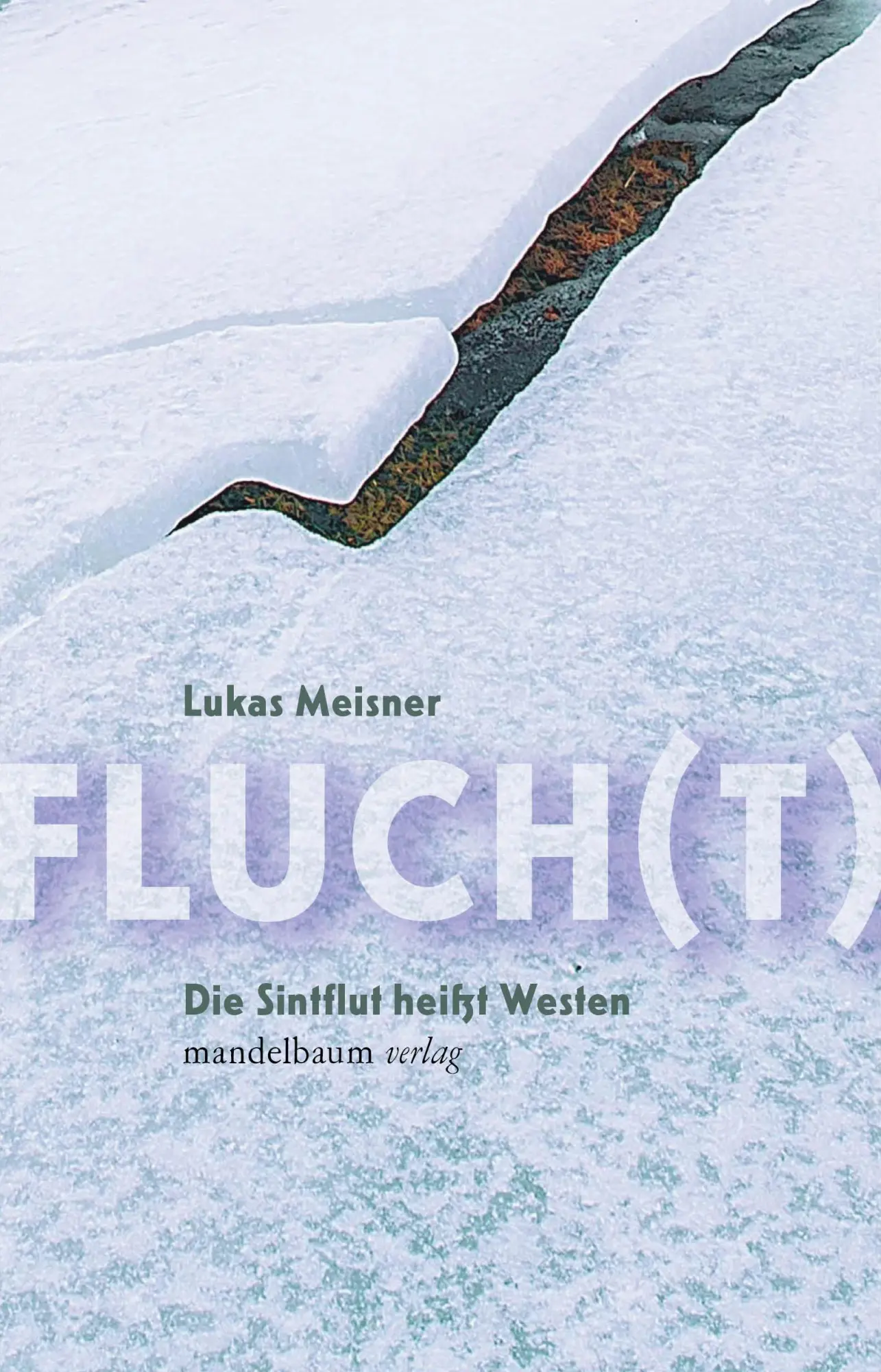 Cover: 9783991361015 | Fluch(t) | Die Sintflut heißt Westen | Lukas Meisner | Taschenbuch