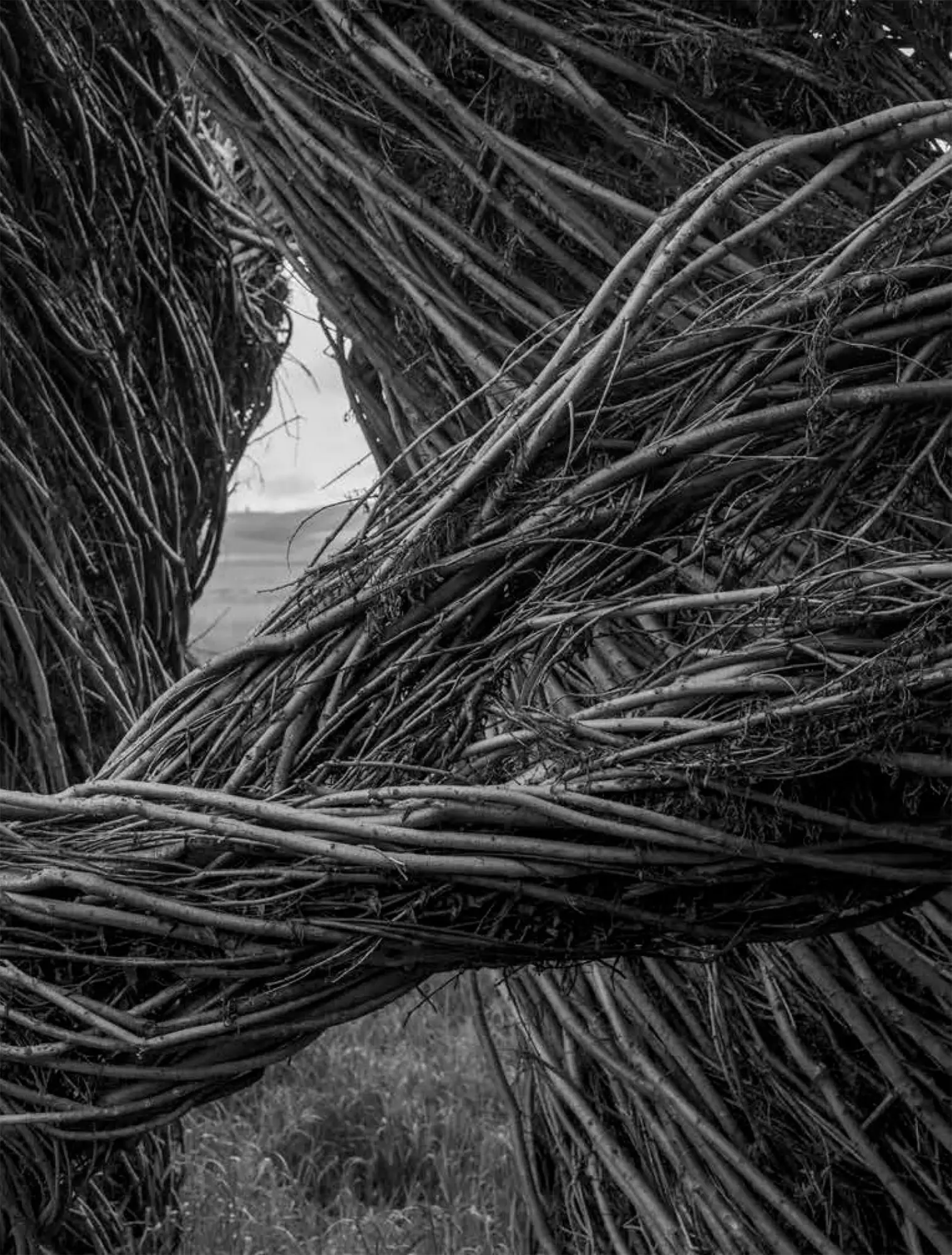 Cover: 9798890181015 | Patrick Dougherty James Florio: Sticks | Buch | Englisch | 2025