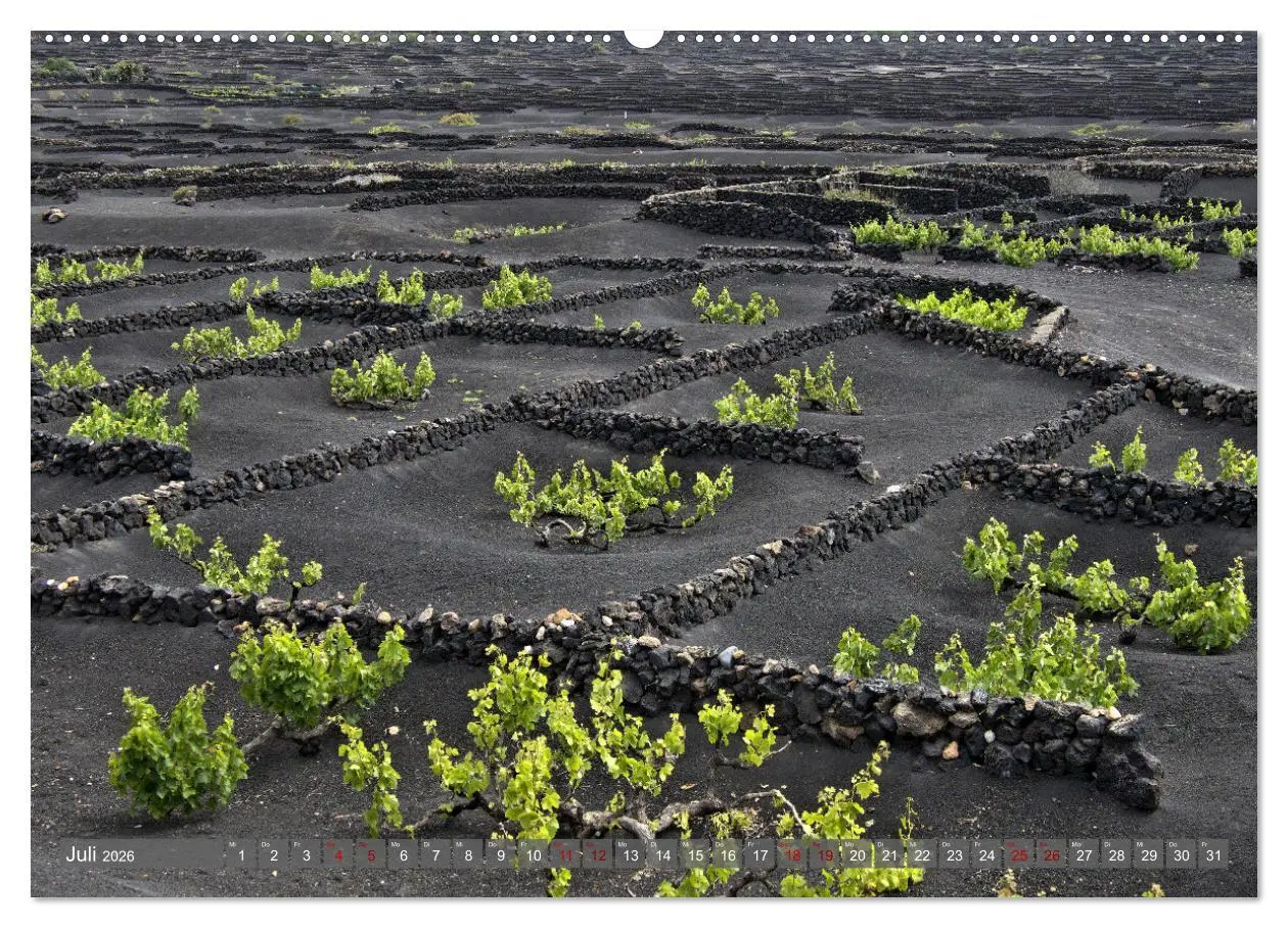 Bild: 9783457431115 | Lanzarote Aus Vulkanen geboren (hochwertiger Premium Wandkalender...