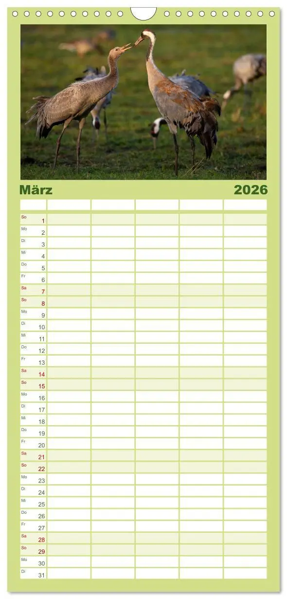Bild: 9783516521115 | Familienplaner 2026 - Kraniche - Vögel des Glücks mit 5 Spalten...