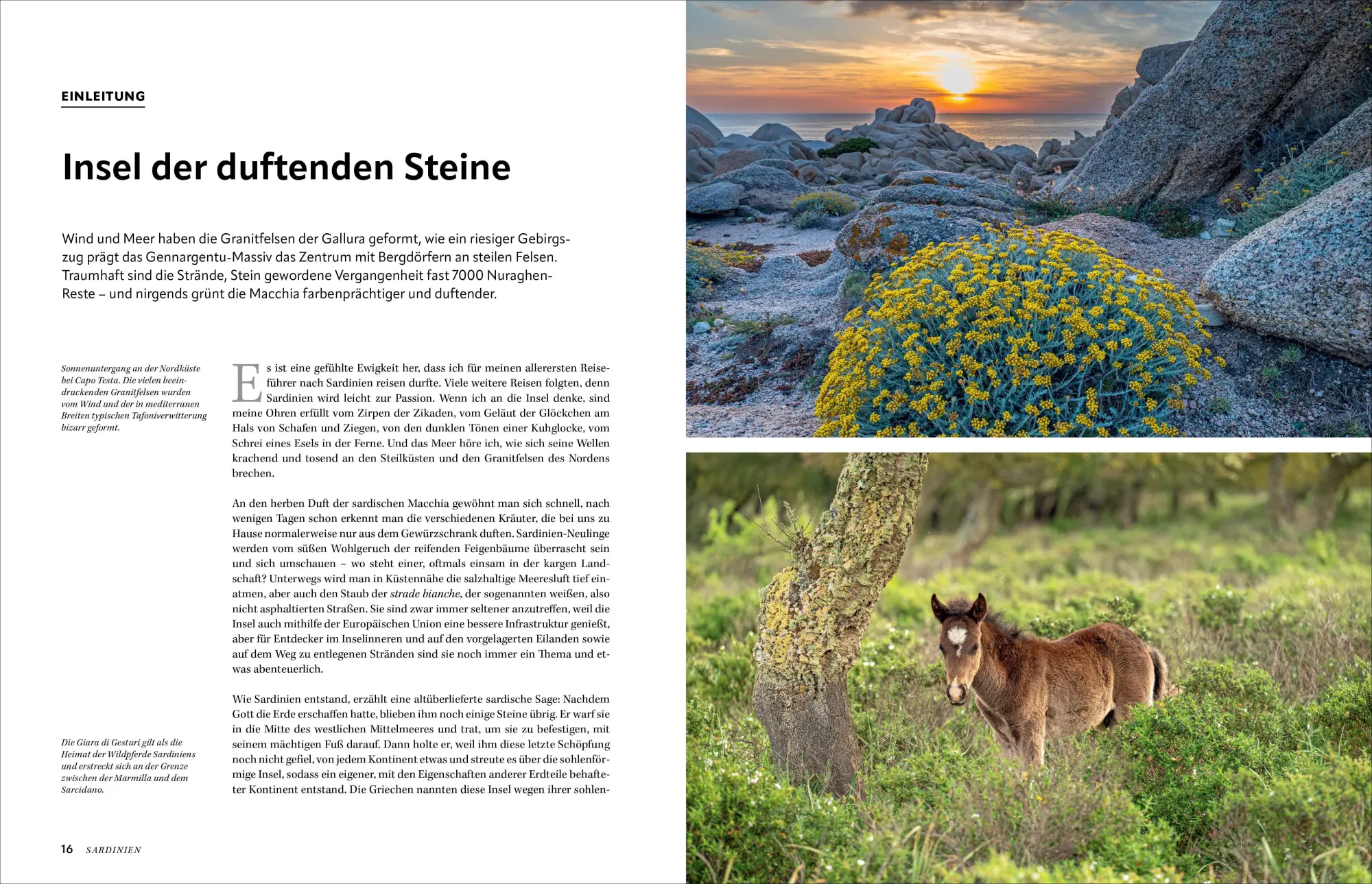 Bild: 9783987011115 | Sardinien | Unvergessliche Entdeckungen zwischen Fels und Meer | Buch