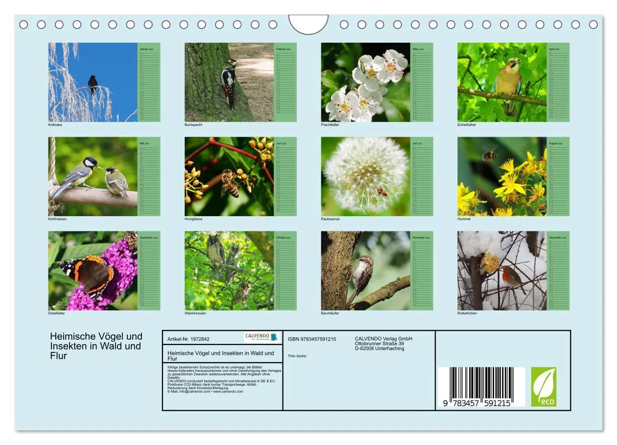 Bild: 9783457591215 | Heimische Vögel und Insekten in Wald und Flur (Wandkalender 2026...