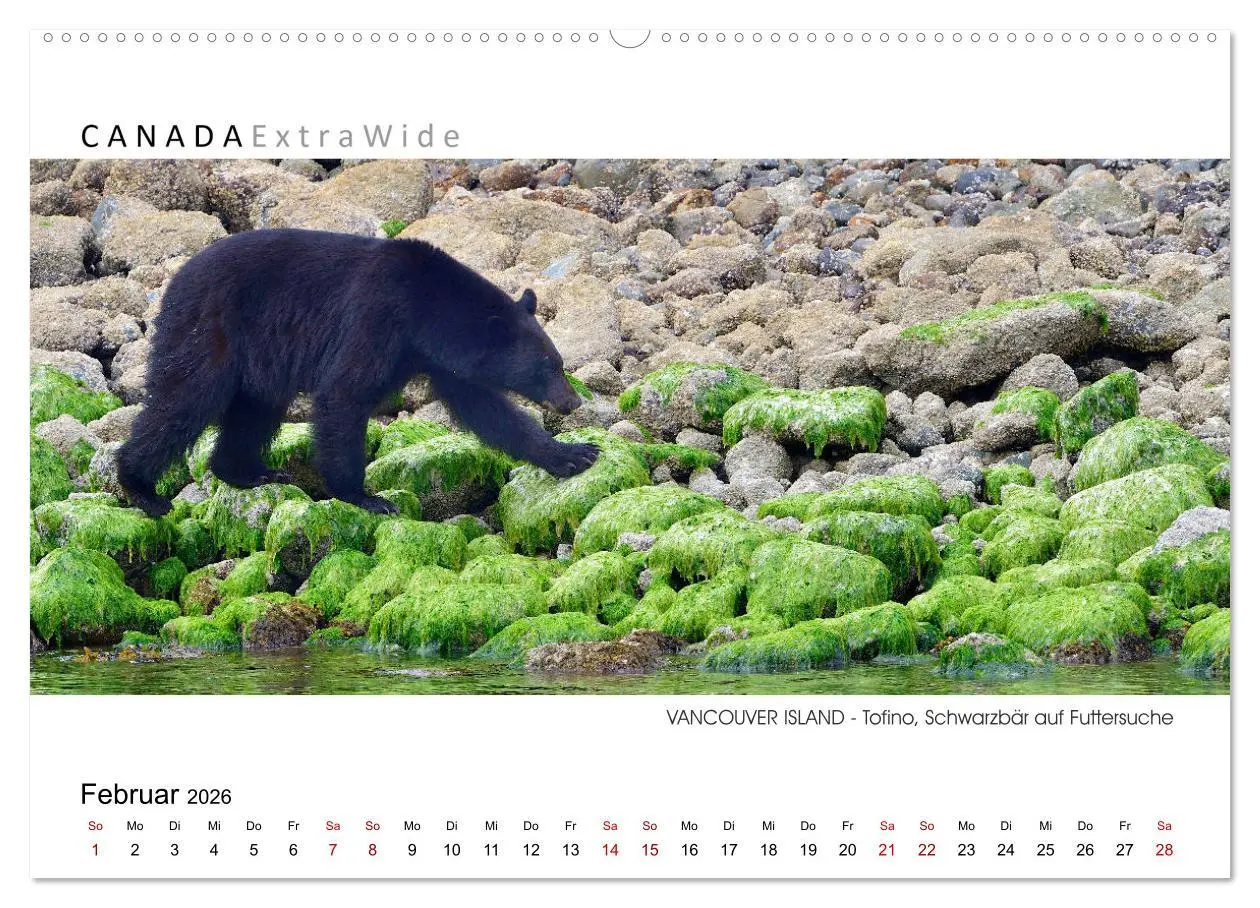 Bild: 9783457271315 | Vancouver Island Panoramabilder (hochwertiger Premium Wandkalender...