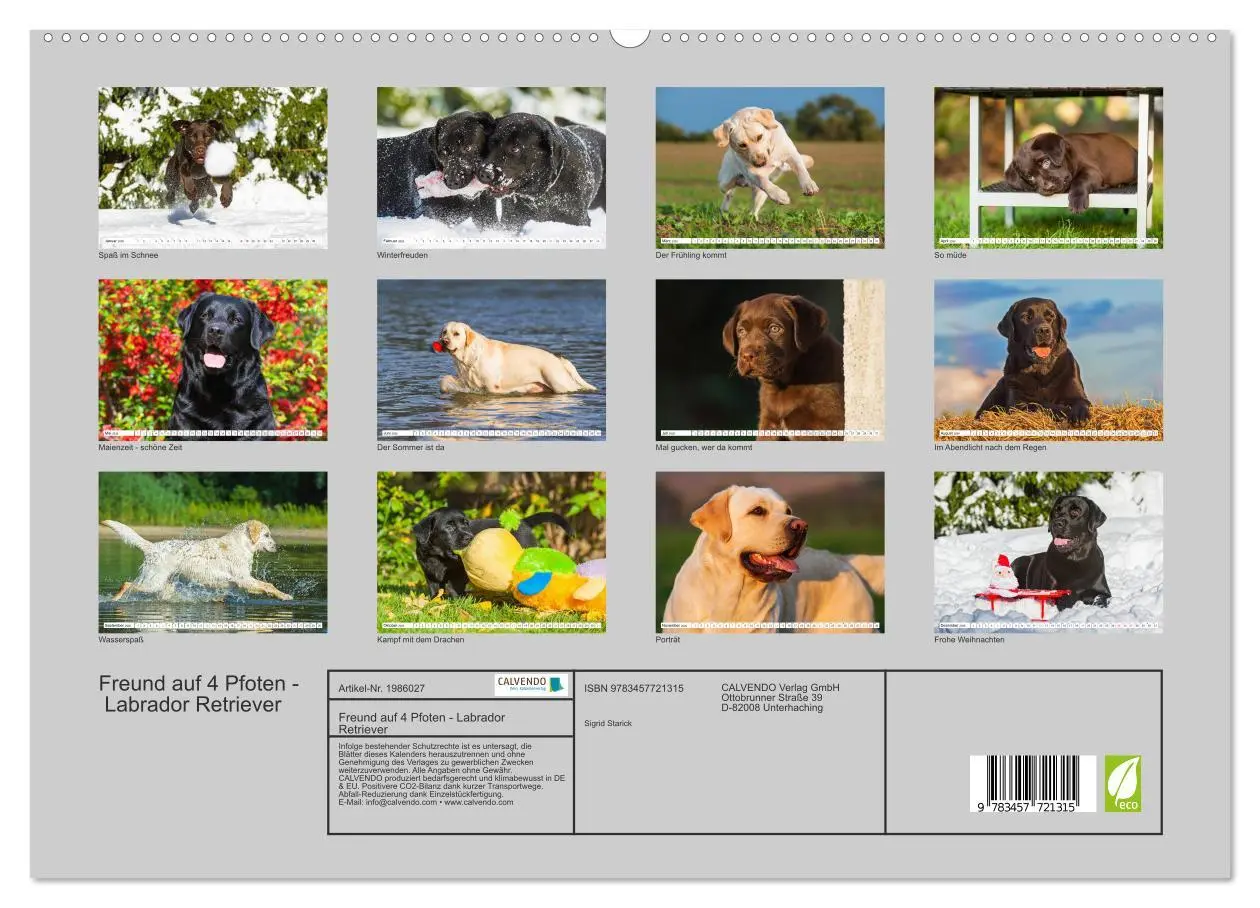 Bild: 9783457721315 | Freund auf 4 Pfoten - Labrador Retriever (hochwertiger Premium...