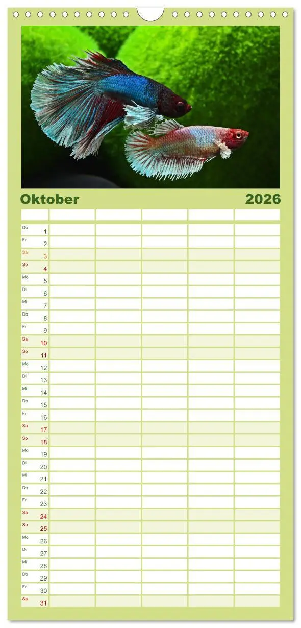 Bild: 9783516501315 | Familienplaner 2026 - Beliebte Fische der Welt mit 5 Spalten...