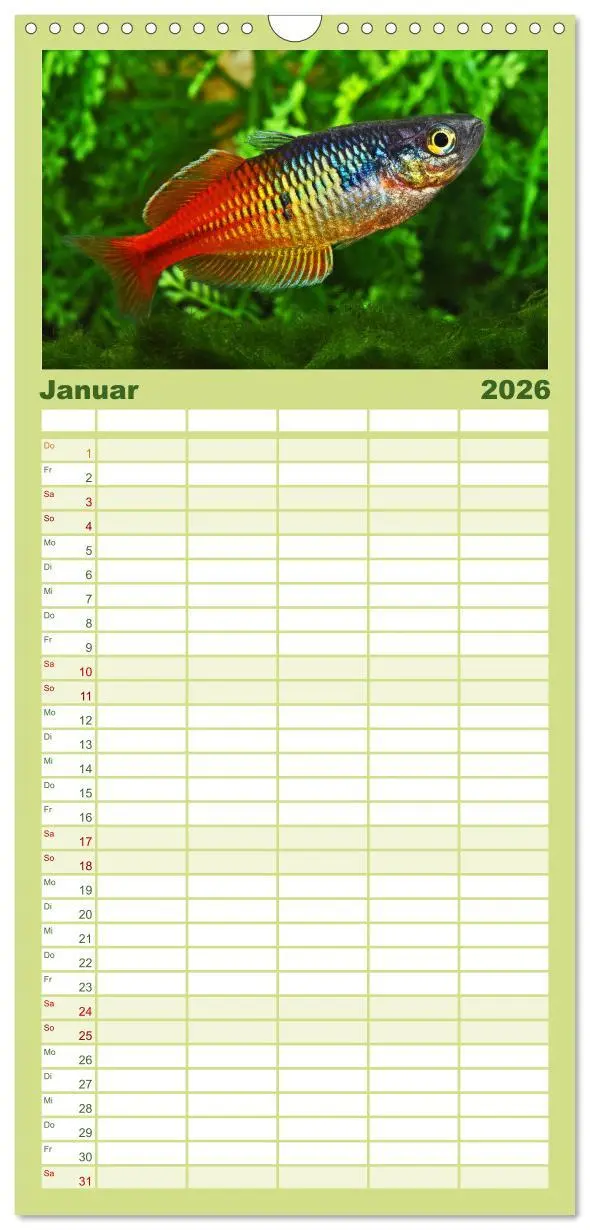 Bild: 9783516501315 | Familienplaner 2026 - Beliebte Fische der Welt mit 5 Spalten...