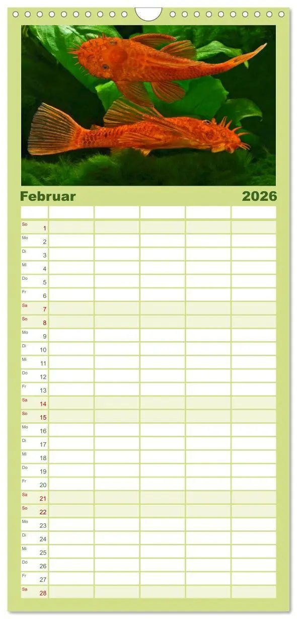 Bild: 9783516501315 | Familienplaner 2026 - Beliebte Fische der Welt mit 5 Spalten...