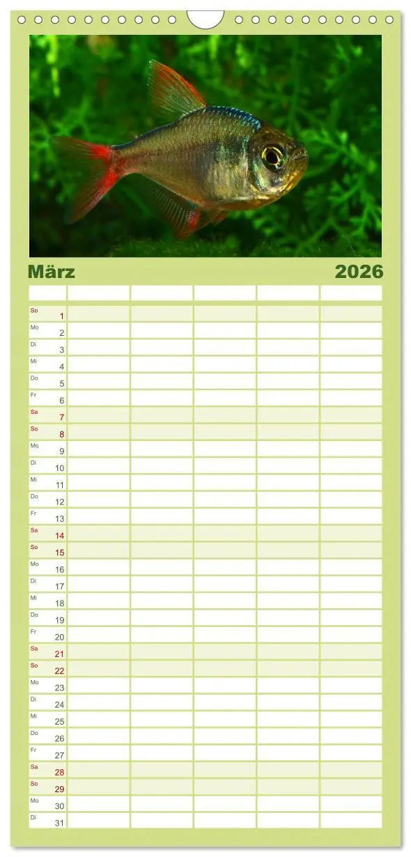 Bild: 9783516501315 | Familienplaner 2026 - Beliebte Fische der Welt mit 5 Spalten...