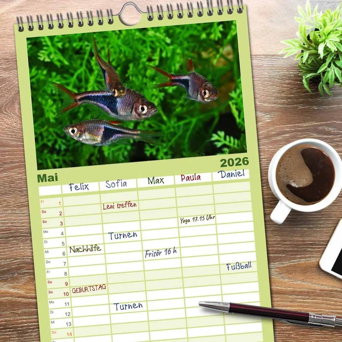 Bild: 9783516501315 | Familienplaner 2026 - Beliebte Fische der Welt mit 5 Spalten...