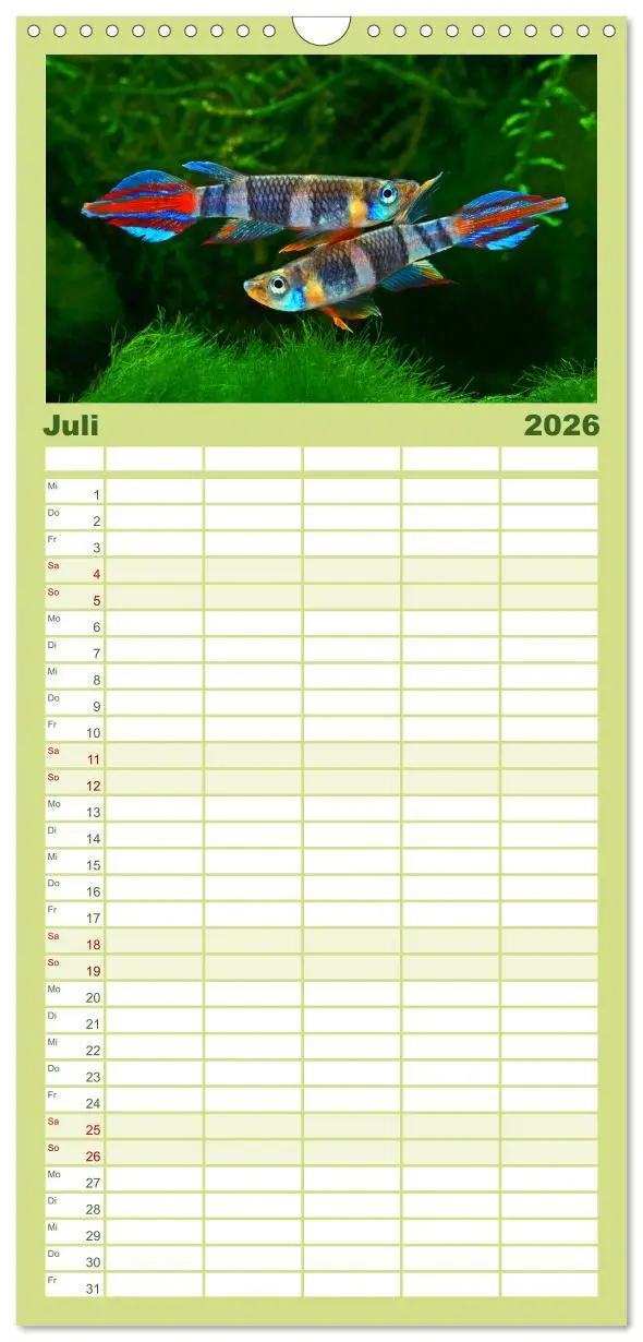 Bild: 9783516501315 | Familienplaner 2026 - Beliebte Fische der Welt mit 5 Spalten...