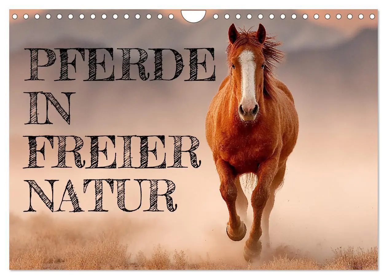 Cover: 9783516671315 | Pferde in freier Natur (Wandkalender 2026 DIN A4 quer), CALVENDO...