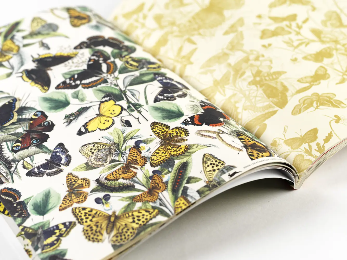 Bild: 9789460091315 | Butterflies | Gift &amp; Creative Paper Book Vol. 109 | Pepin van Roojen