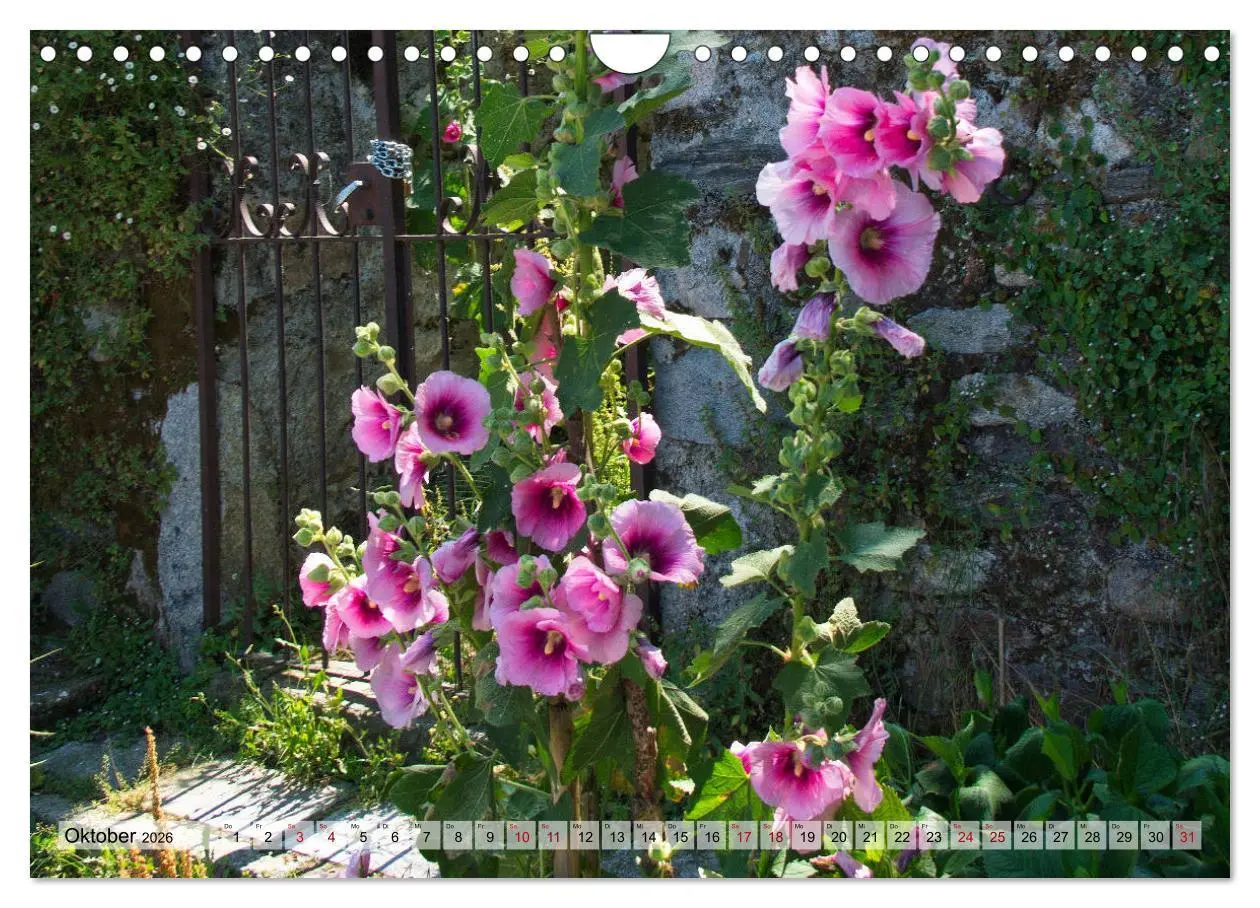 Bild: 9783457261415 | Isola dei Pescatori im Lago Maggiore (Wandkalender 2026 DIN A4...