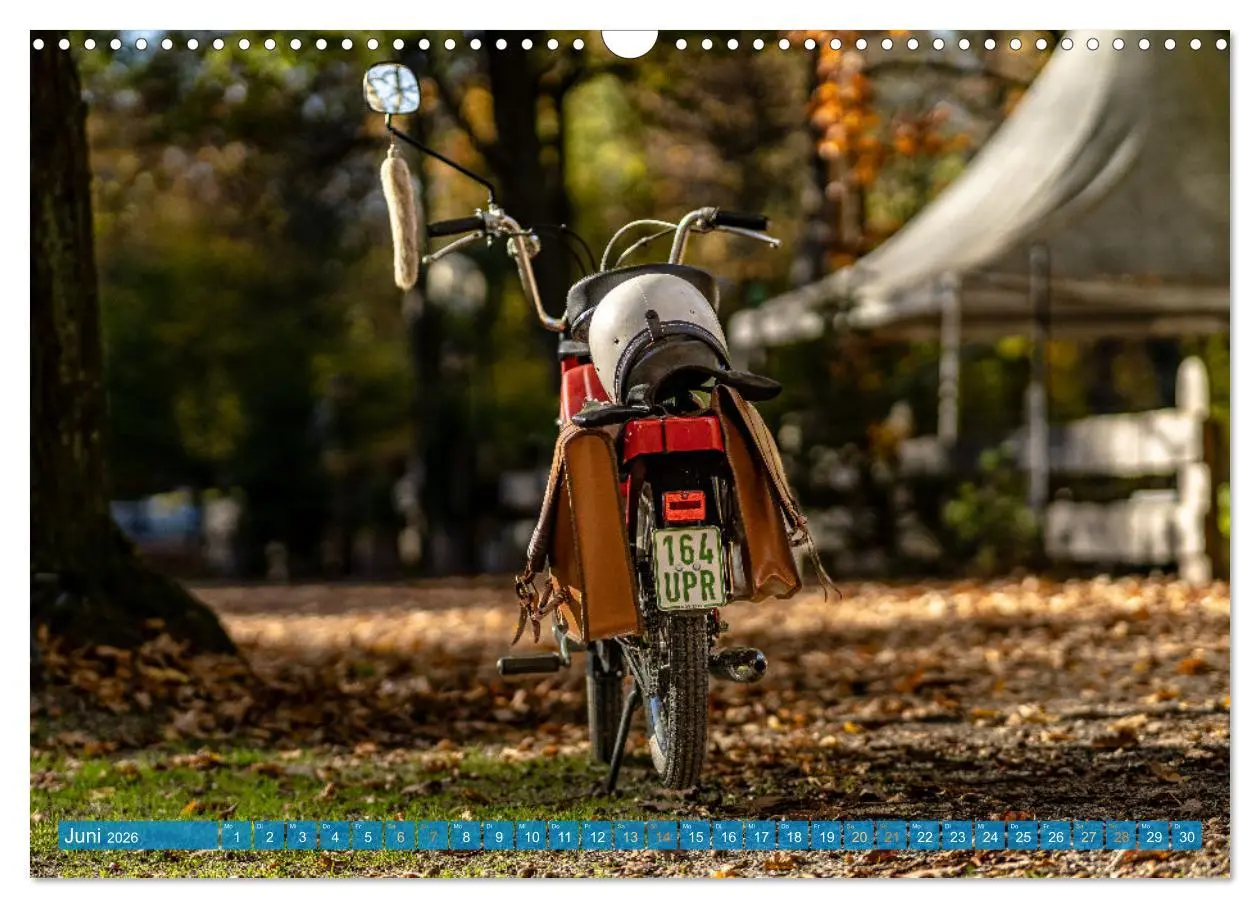 Bild: 9783457331415 | Das Mofa meiner Jugend (Wandkalender 2026 DIN A3 quer), CALVENDO...