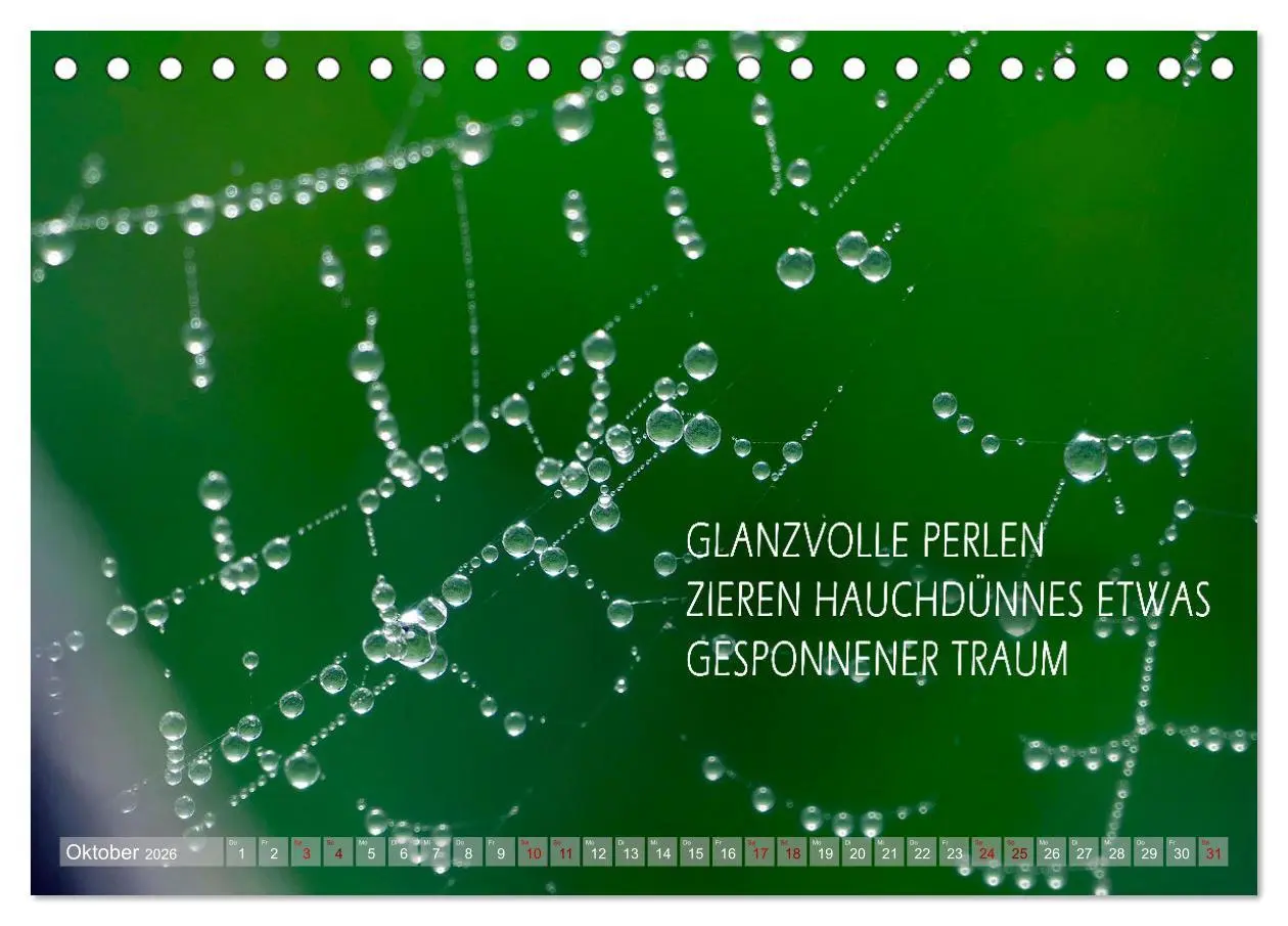 Bild: 9783457401415 | Haiku Poesie in Wort und Bild (Tischkalender 2026 DIN A5 quer),...