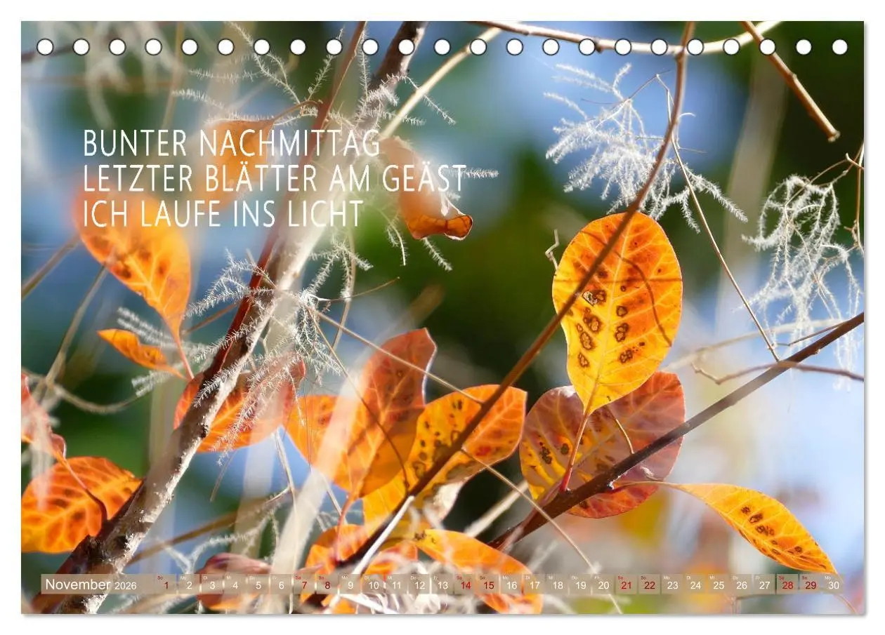 Bild: 9783457401415 | Haiku Poesie in Wort und Bild (Tischkalender 2026 DIN A5 quer),...