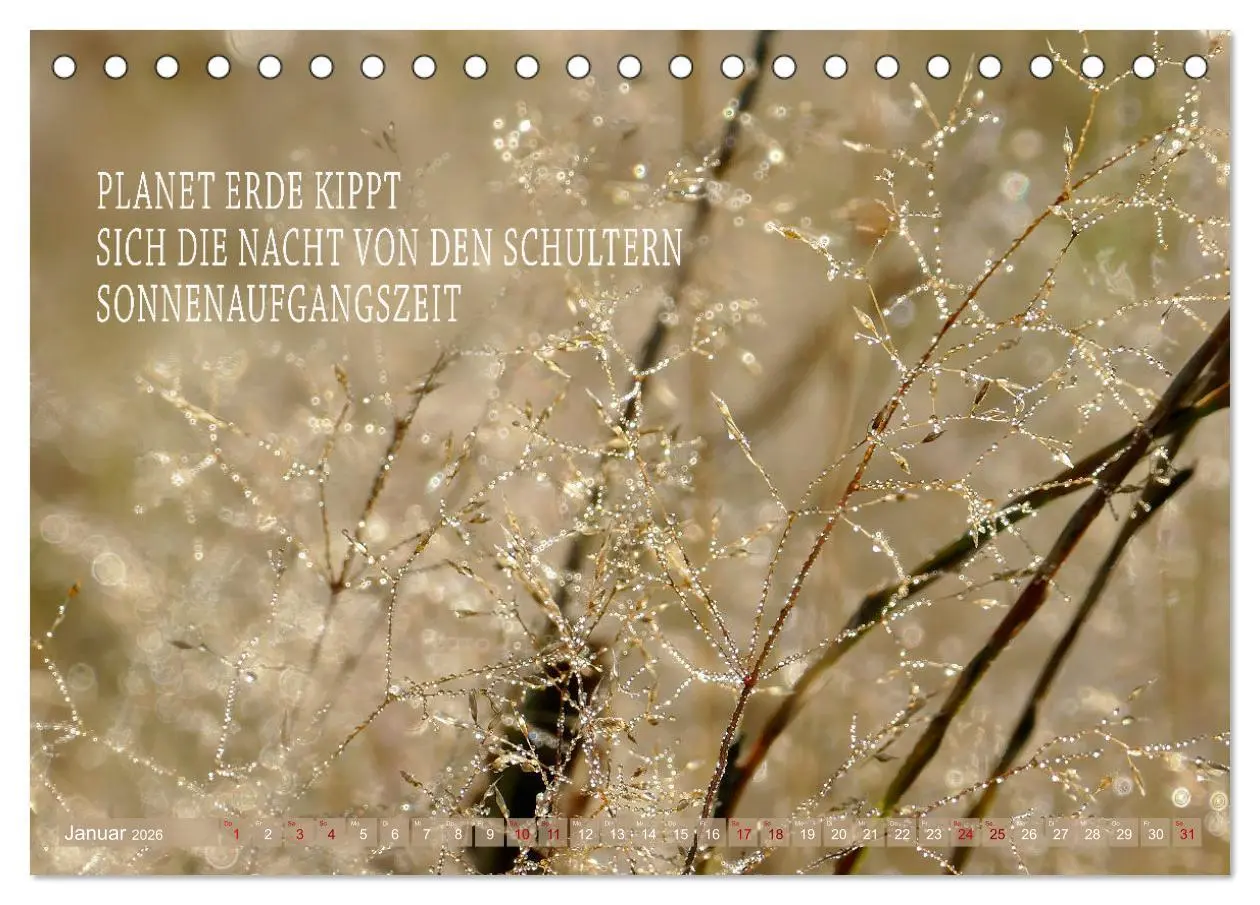Bild: 9783457401415 | Haiku Poesie in Wort und Bild (Tischkalender 2026 DIN A5 quer),...