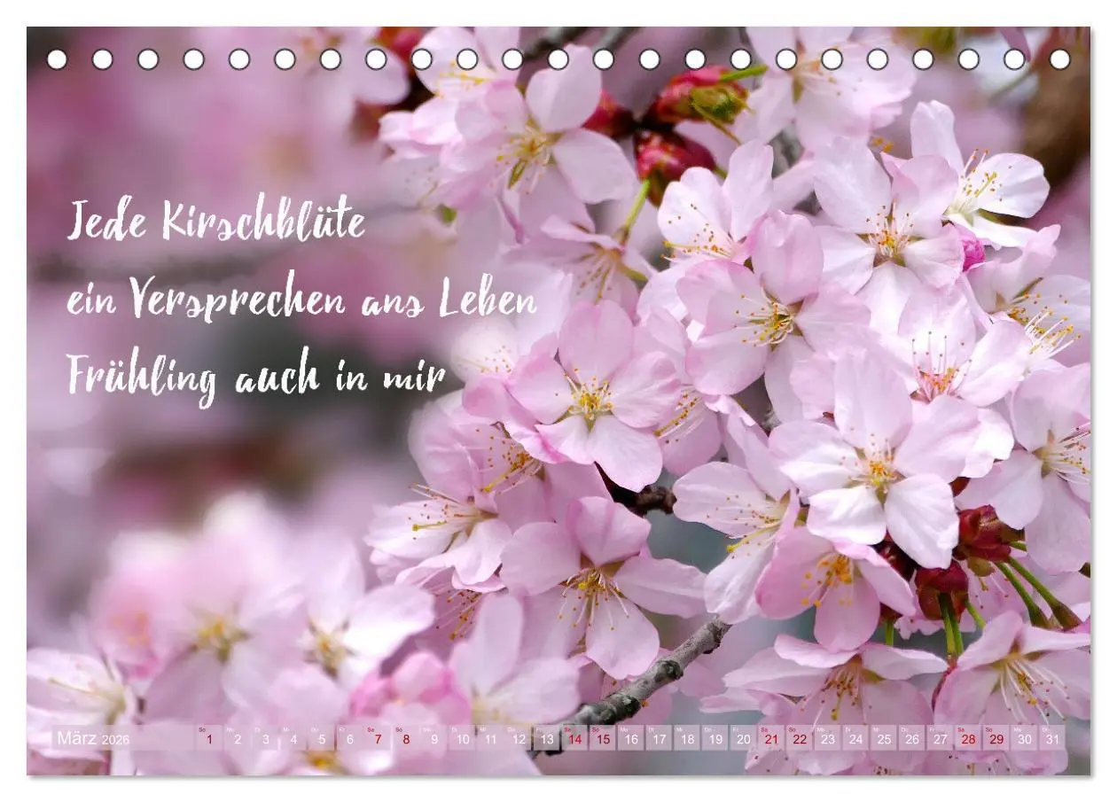 Bild: 9783457401415 | Haiku Poesie in Wort und Bild (Tischkalender 2026 DIN A5 quer),...